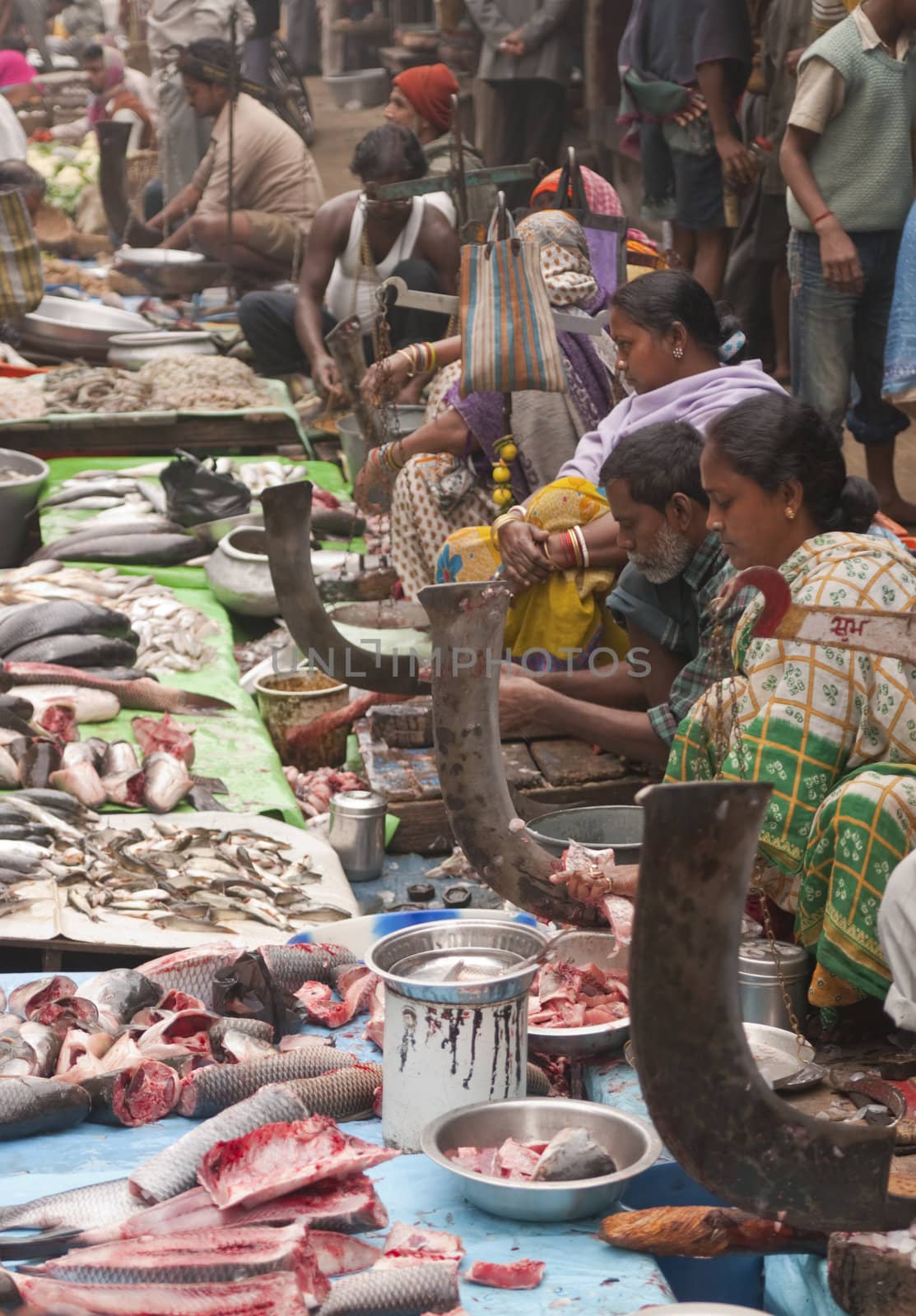 People selling fish at a street market in the Chowringhee area of Kolkata, West Bengal, India