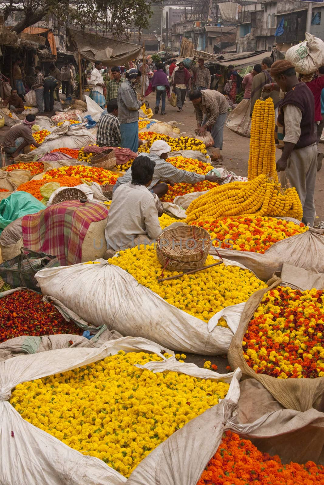 People buying and selling flowers at the flower market in the shadow of the Haora Bridge in Kolkata, West Bengal, India