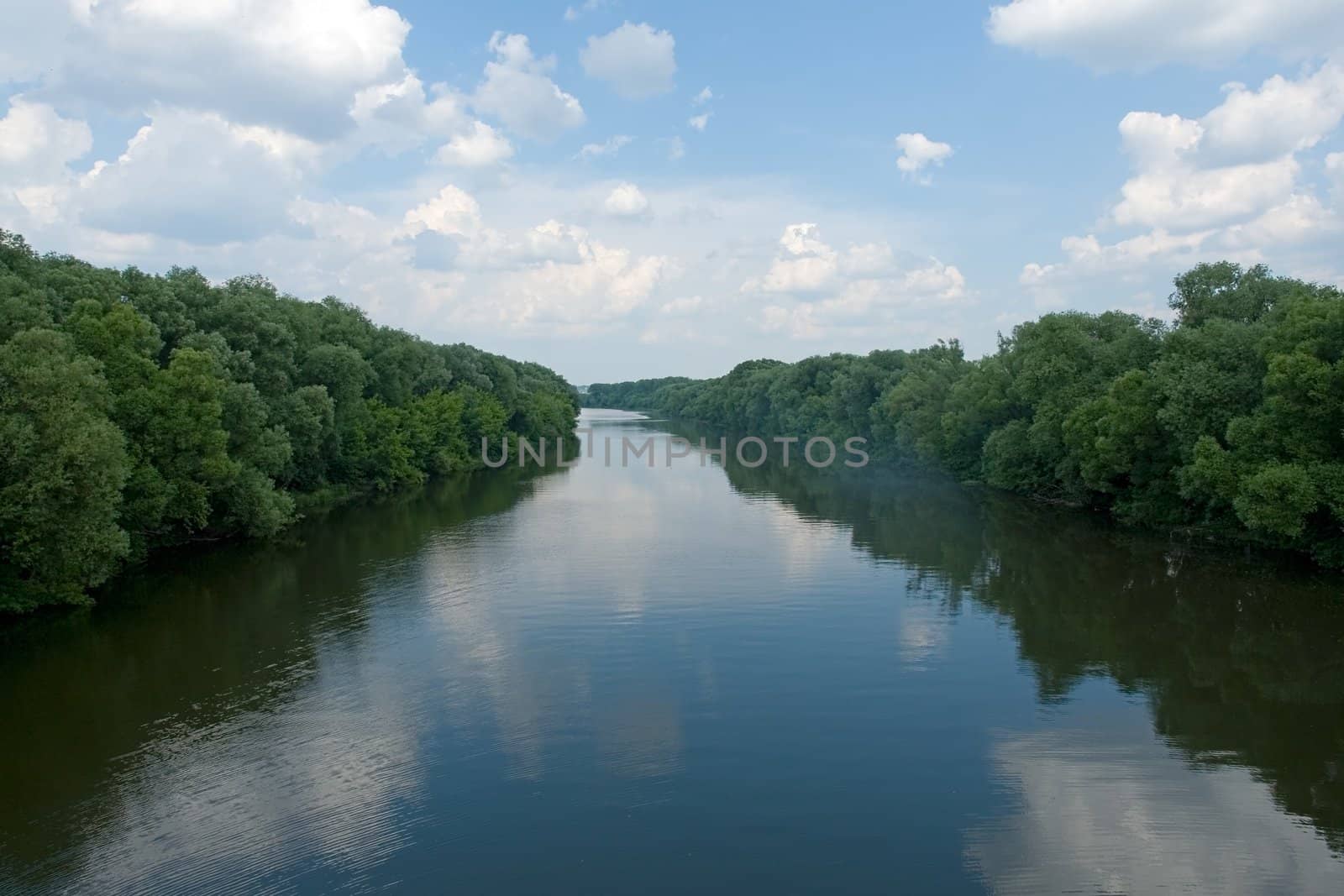 Summer. River. Blue sky and green trees are reflected in water.
