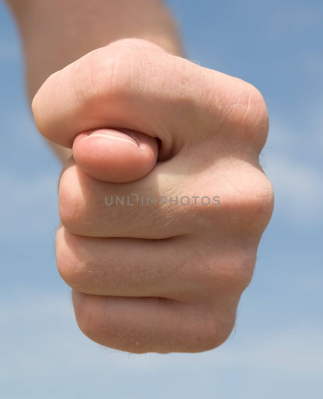 fig. hand gesture with blue sky at background