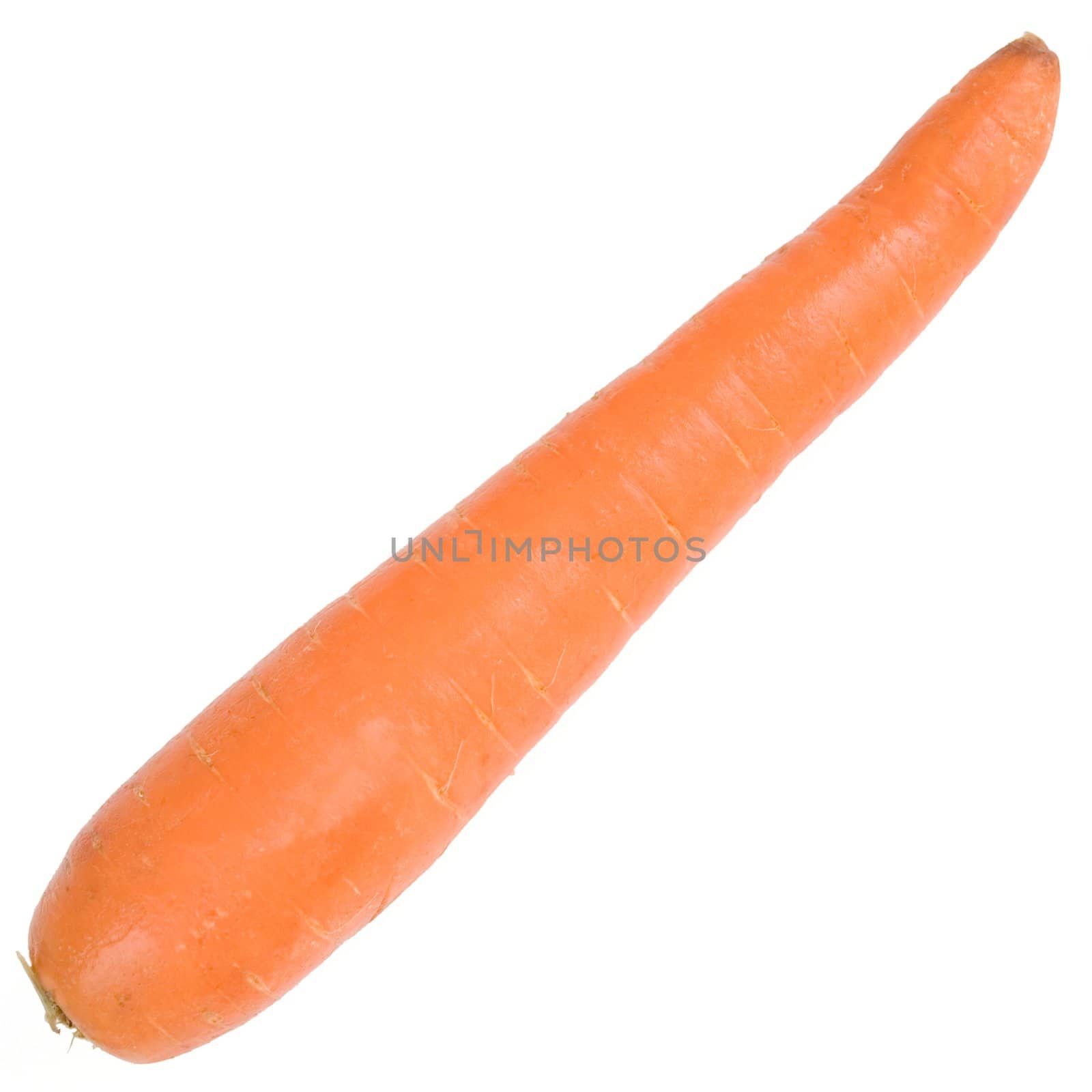 fresh orange carrot on a white background