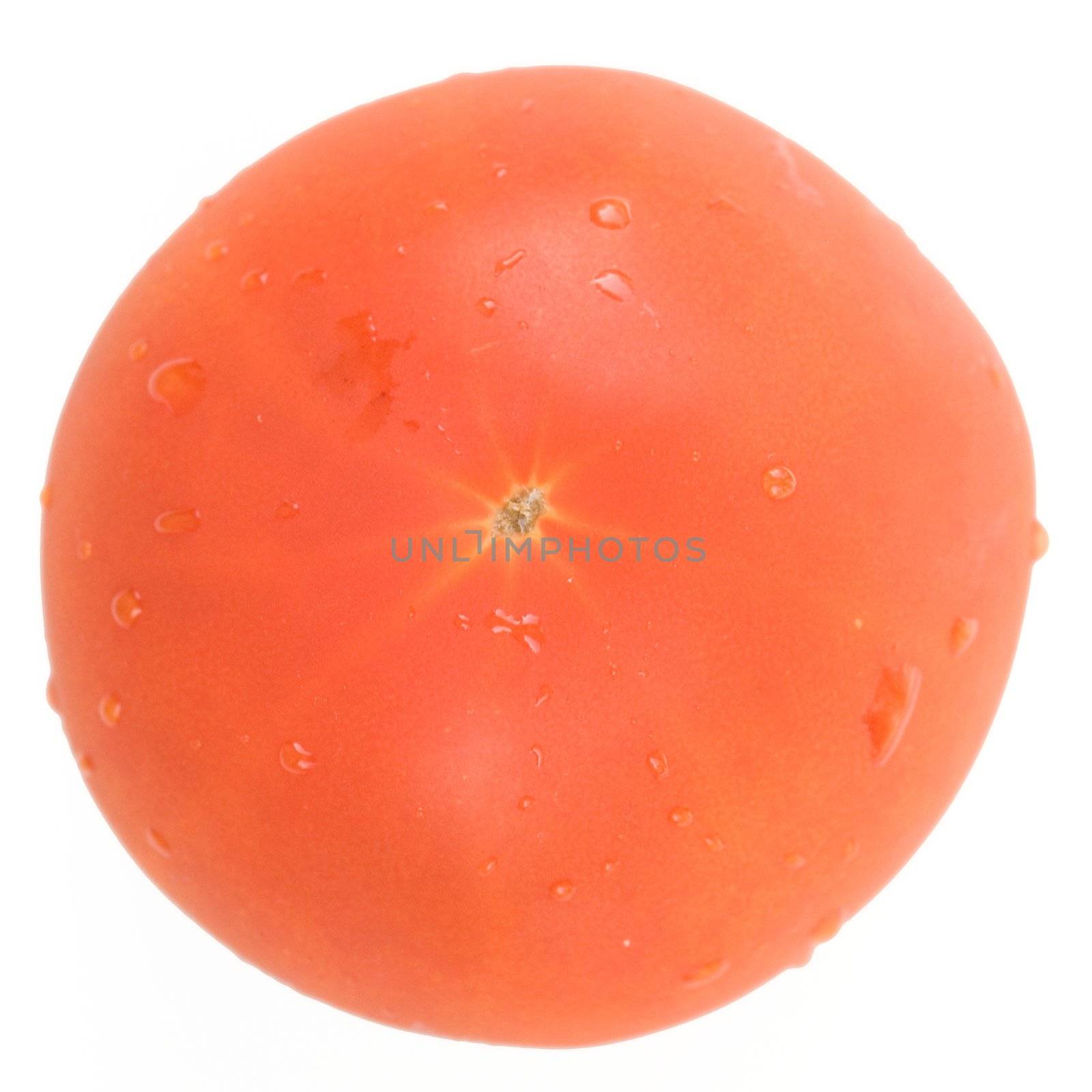 fresh red tomato on a white background