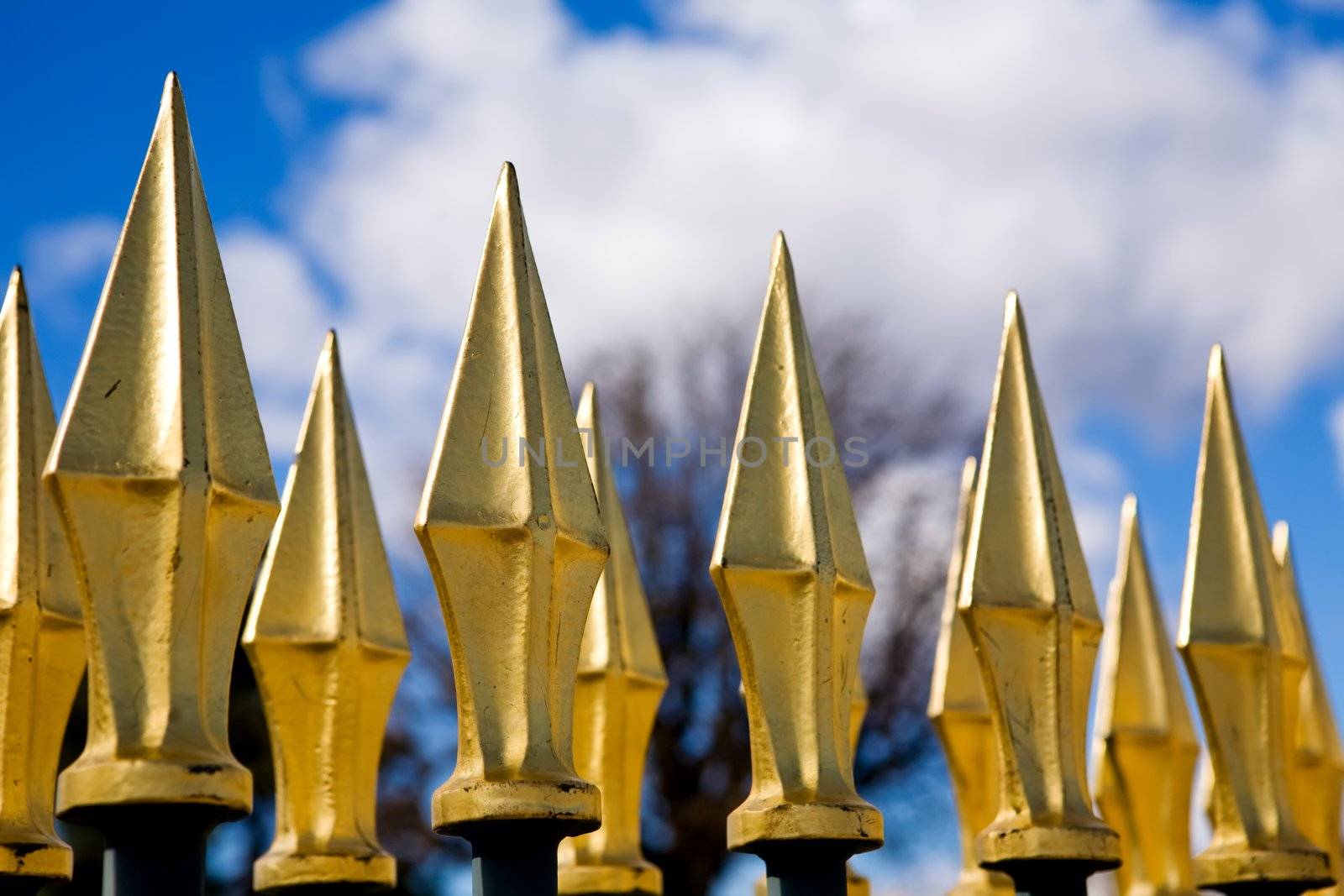 Golden spiken fence of Versailles  in Paris