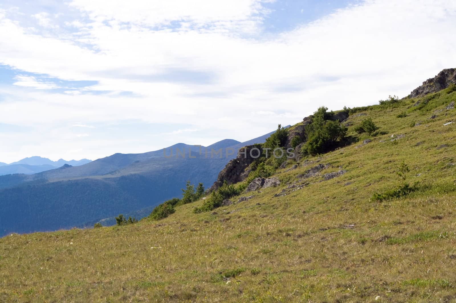 Mountain panorama: sky, bushes and stones 
