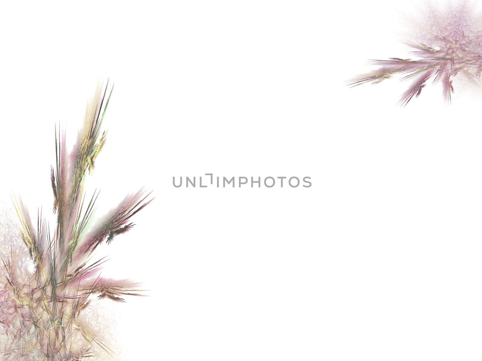 Fractal illustration: A bunch of rush and grass as decoration on a pure white background.