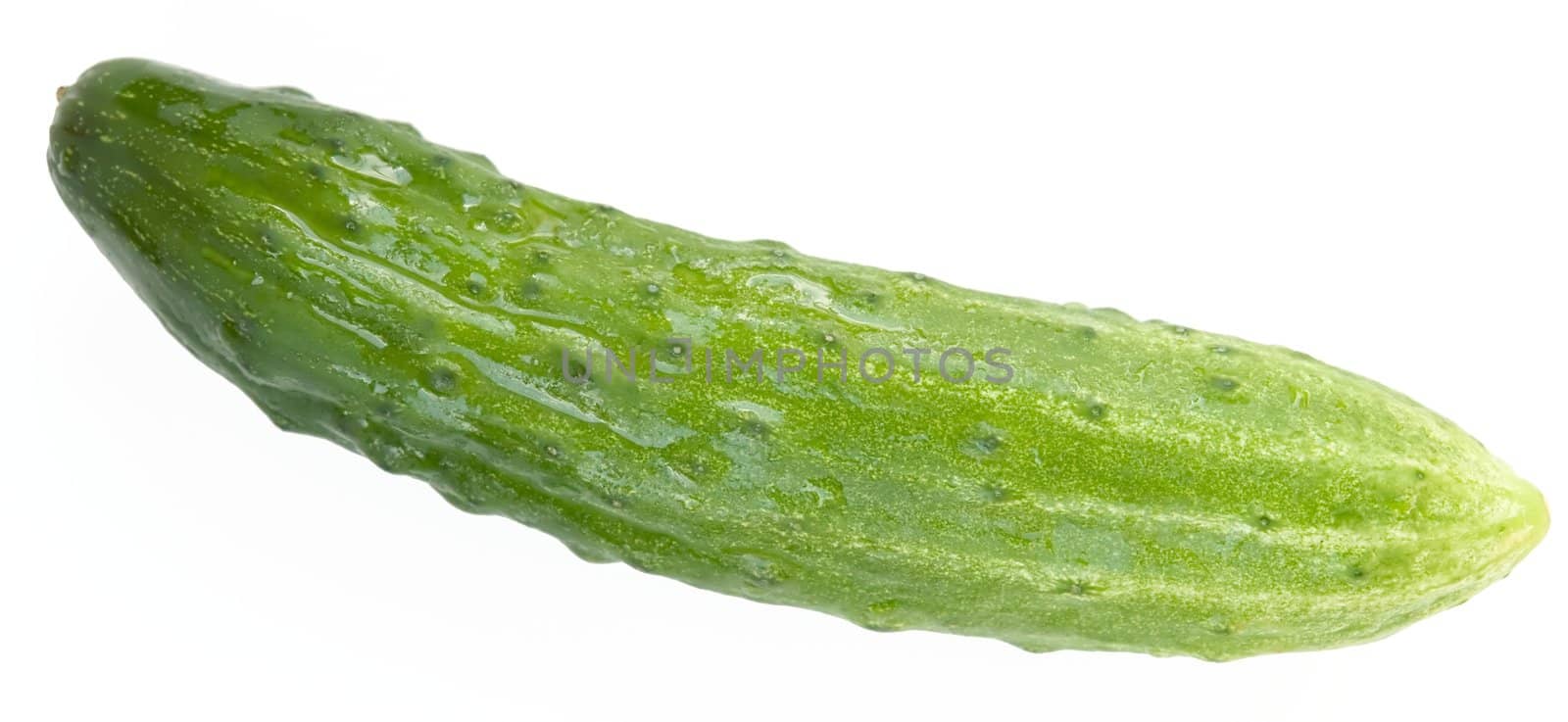 fresh cucumber on a white background