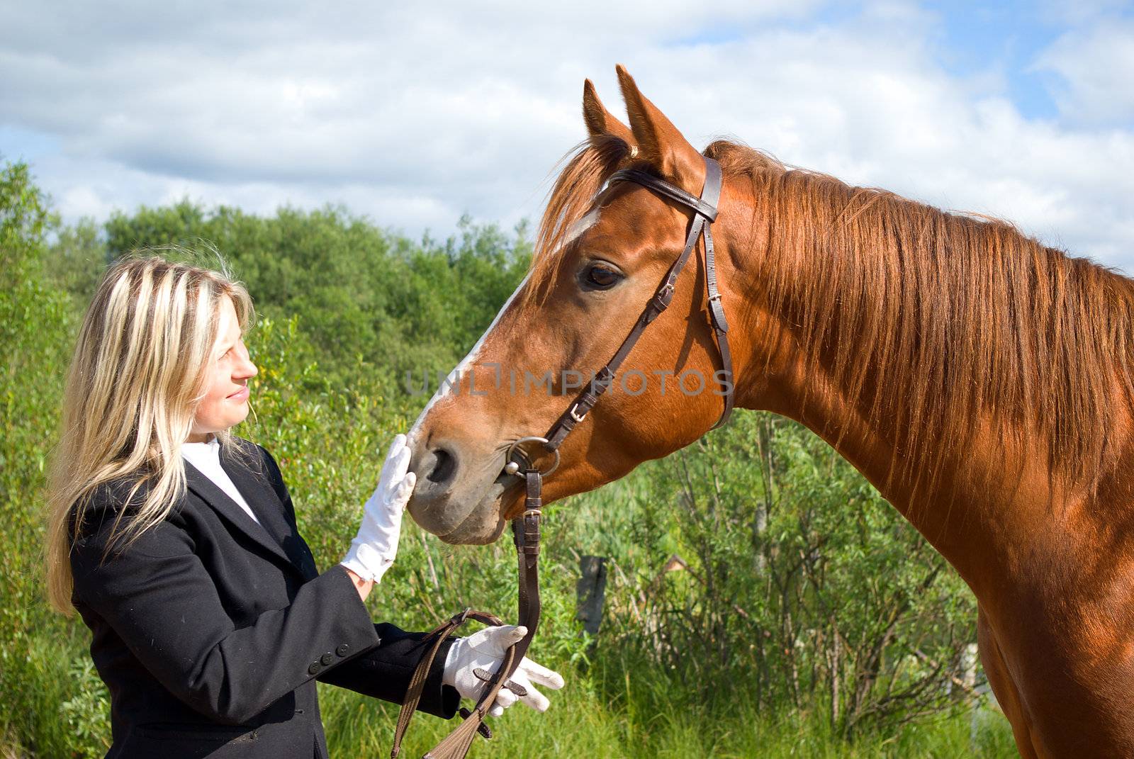 girl with horse.Friendship of an animal and the person