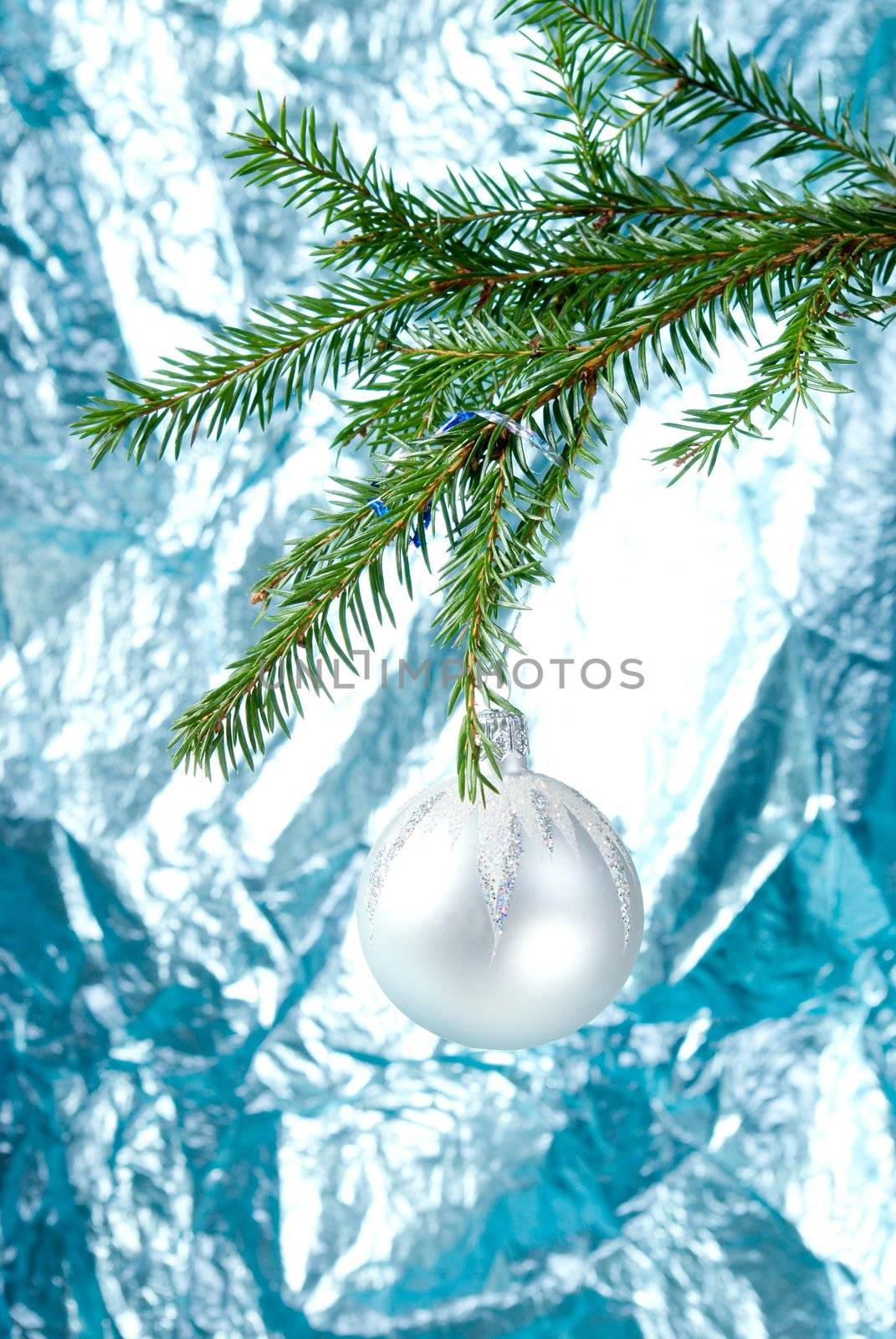Christmas bauble  on background of the fur branche