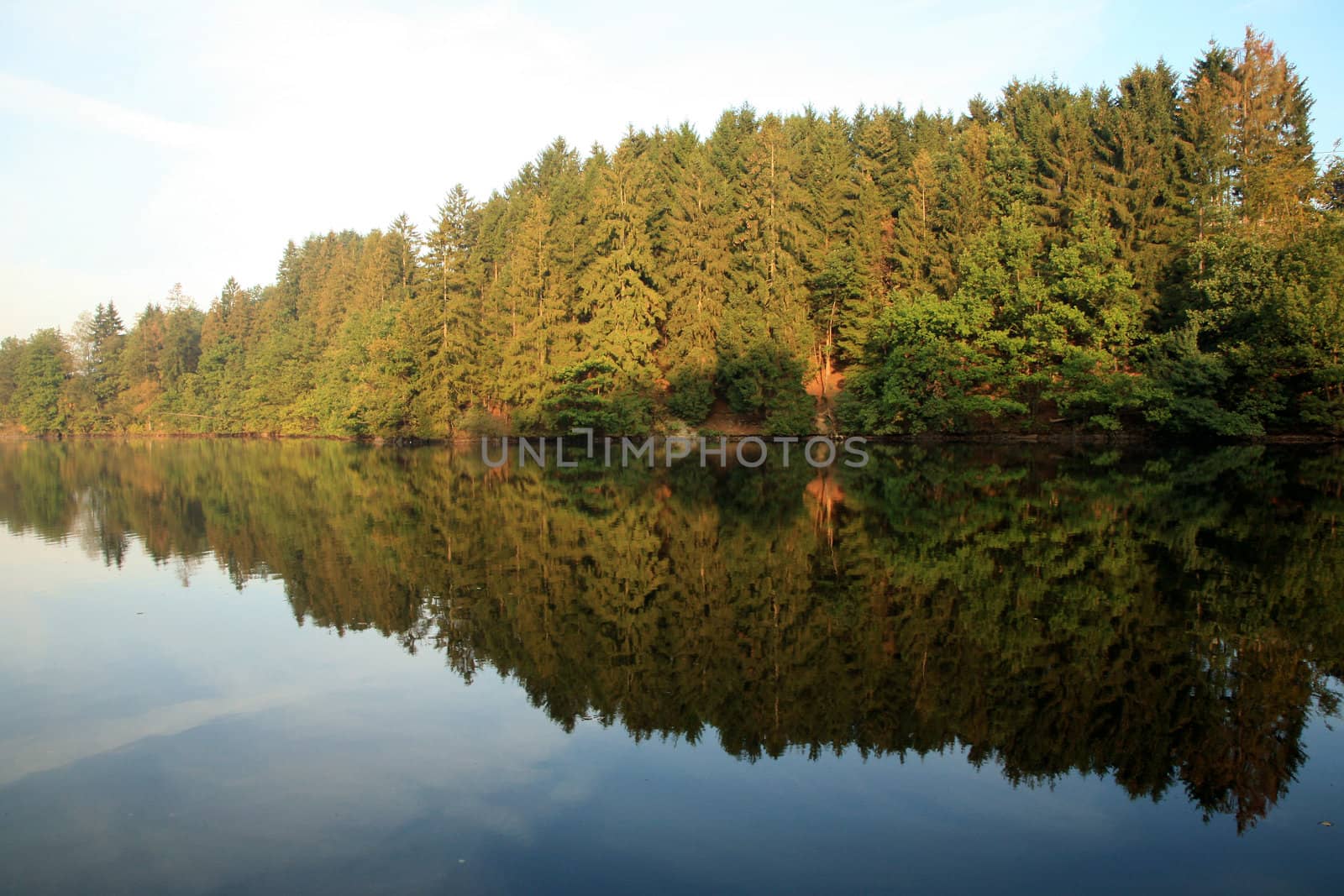 Robertville Lake in Ardennes Mountain – mirror - Belgium in Ardennes Mountain – mirror - Belgium