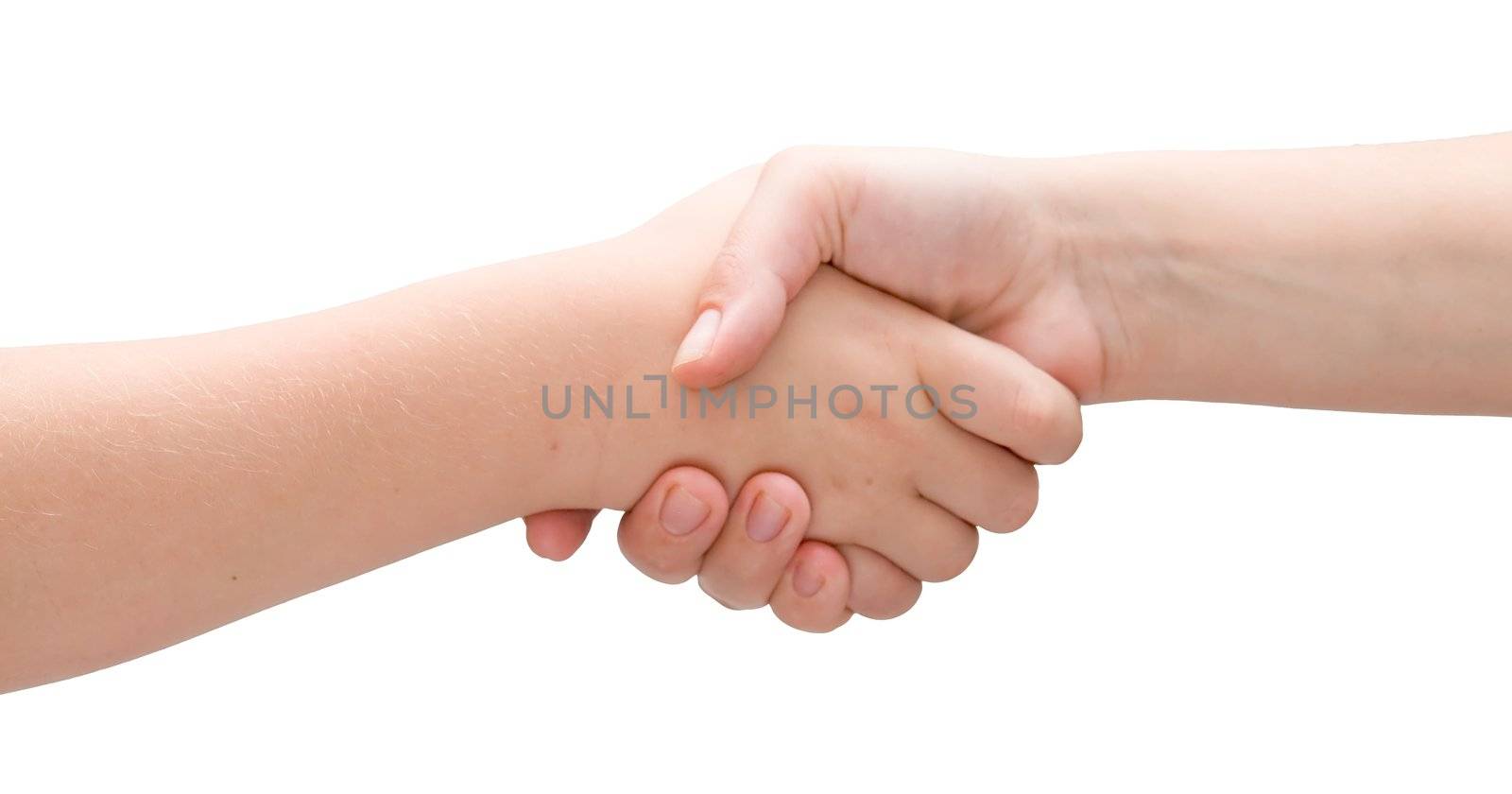 handshake on a white background