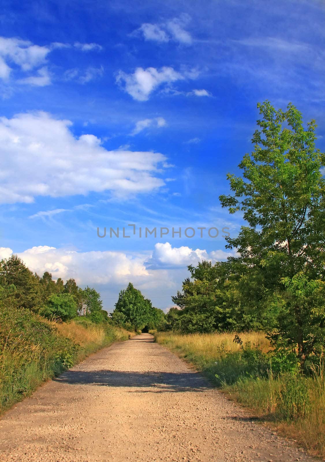 Autumn country road with blue sky