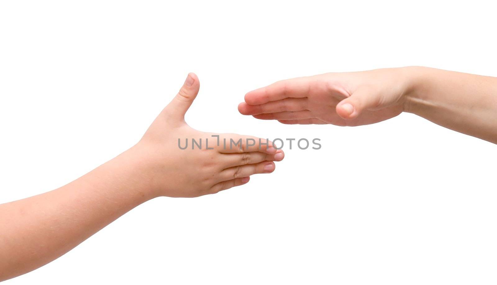 handshake on a white background