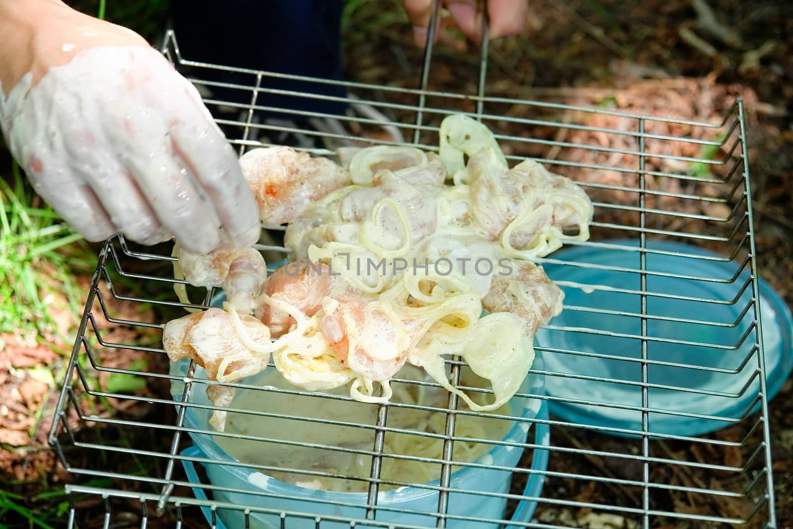 barbecue. Meat and onions on a barbecue