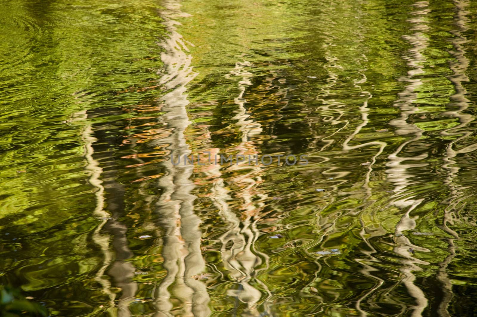 Abstract rippled reflection of trees in lake water. Would make a good background.
