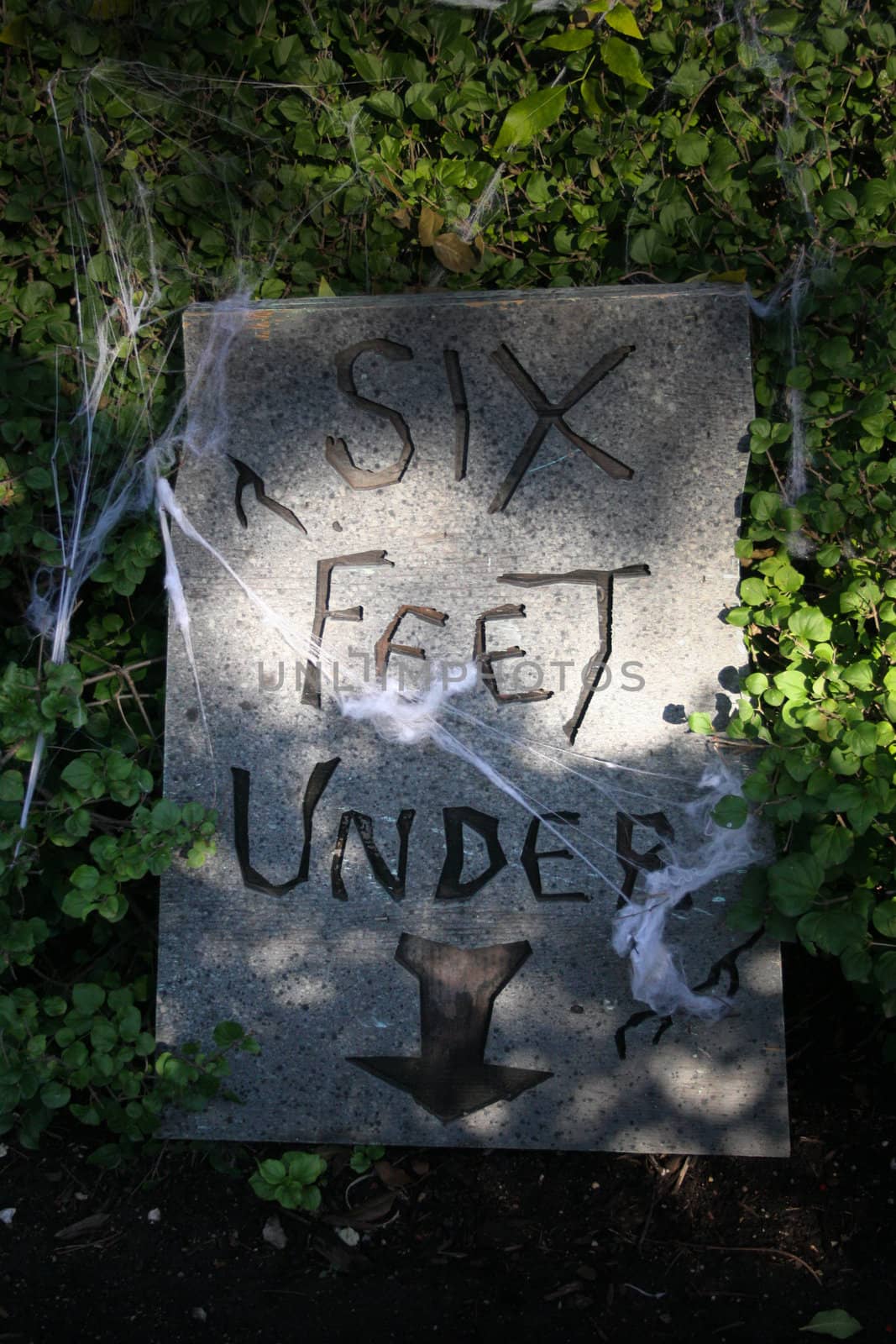Tombstone 'Six feet under'