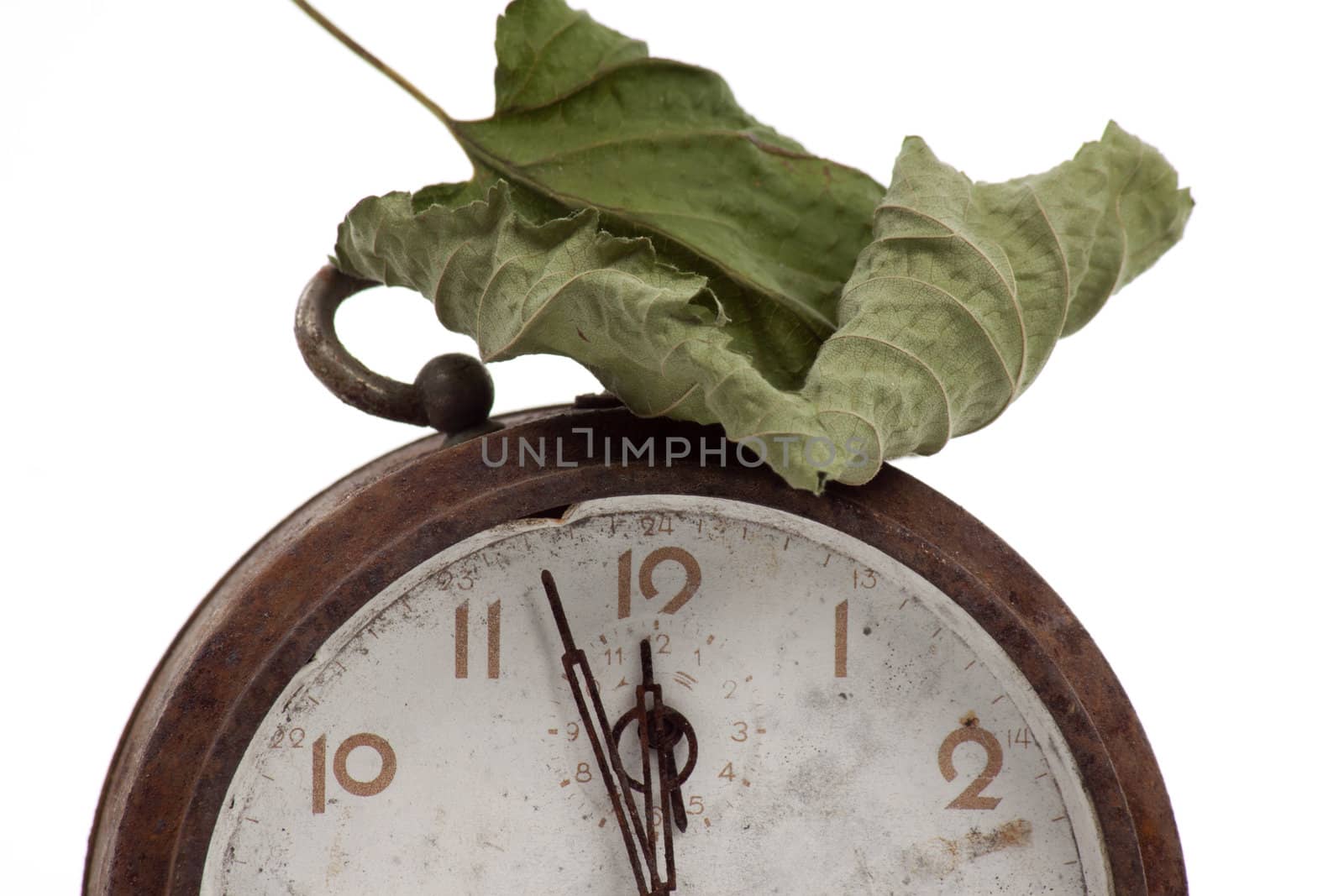 Autumn leave on old clock over white