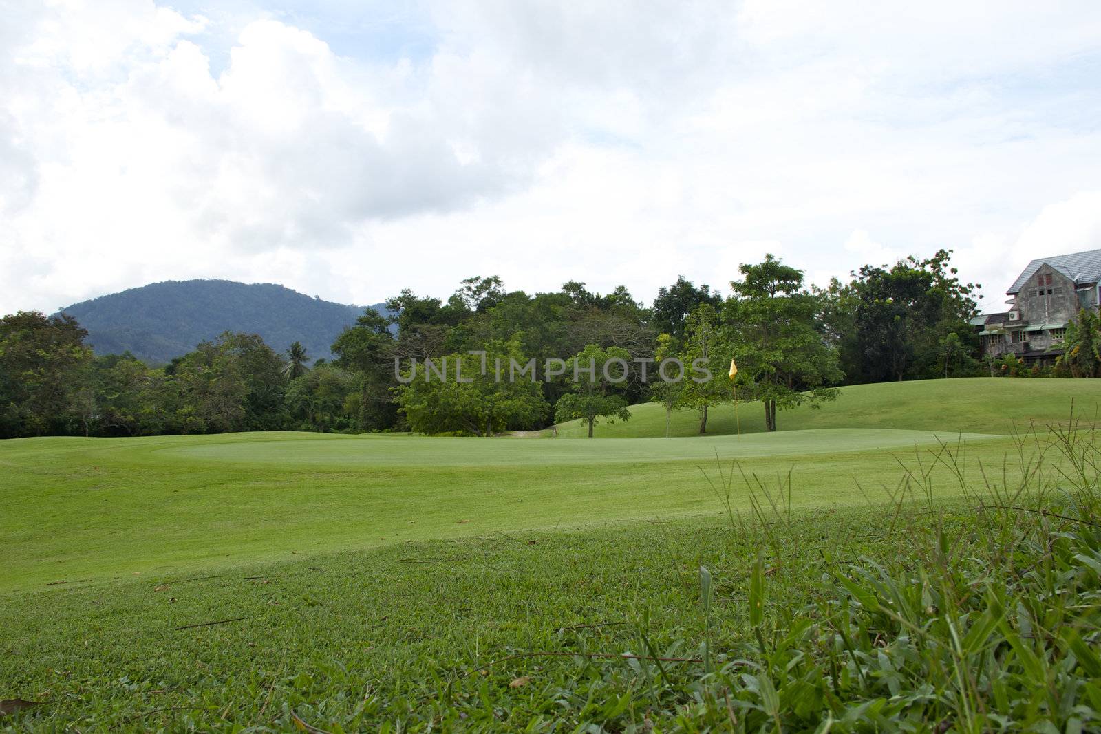 Golf course view