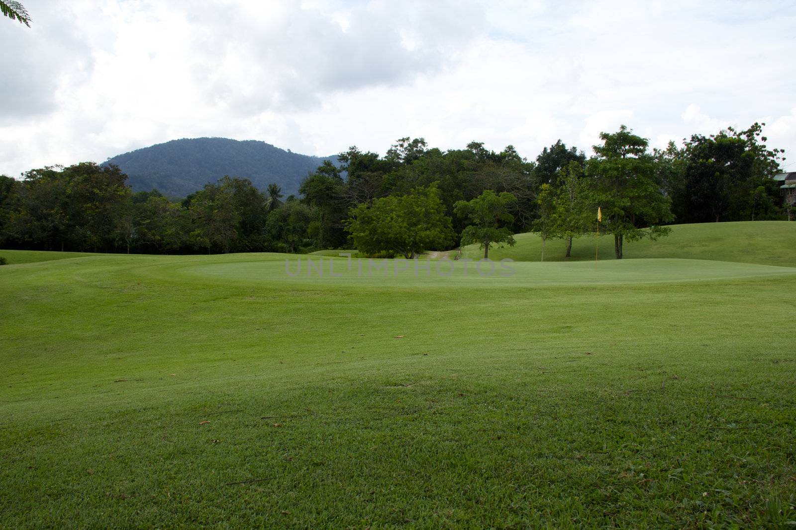 Golf course view