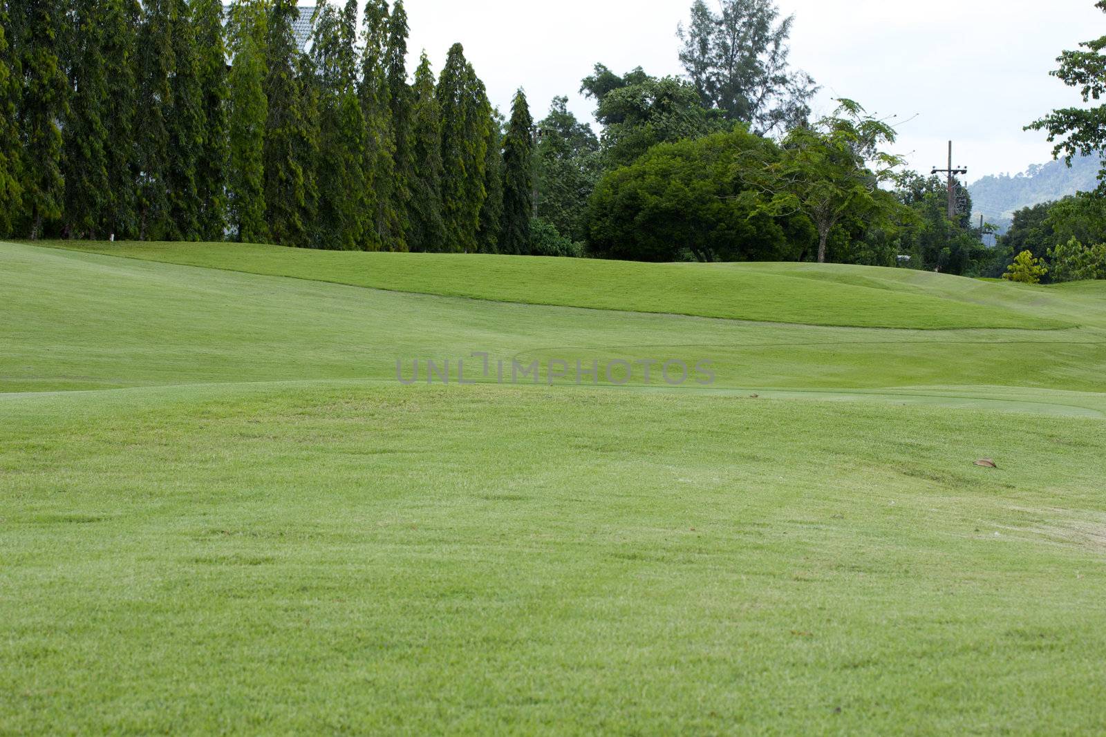 Golf course view