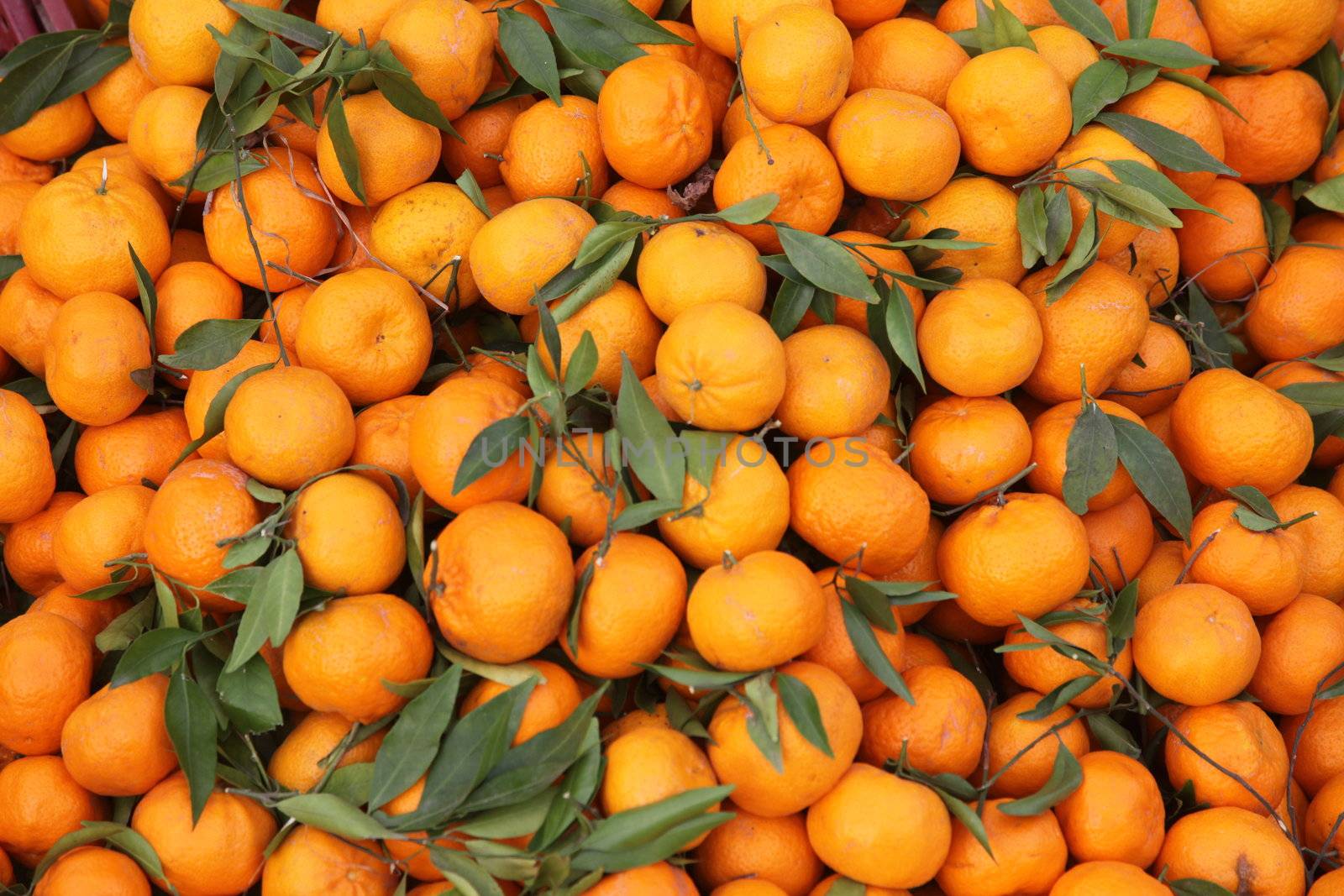 Oranges