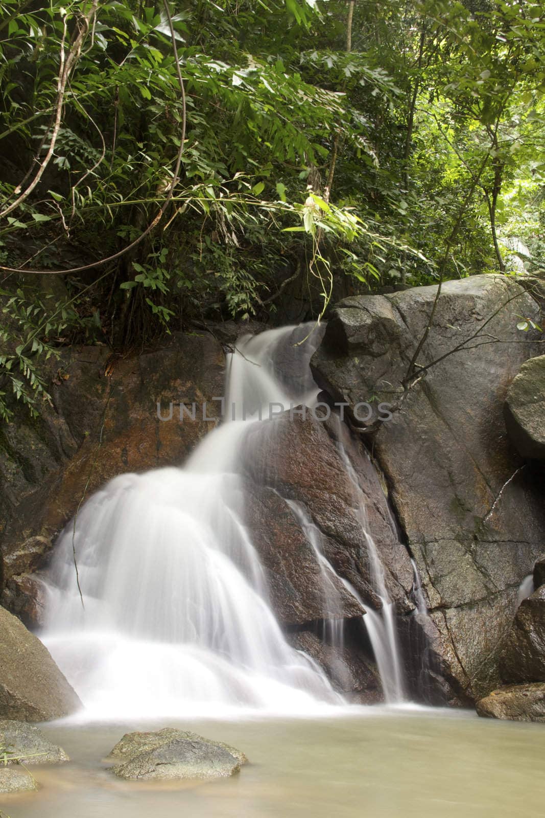 Waterfall in jungle with lush green trees around