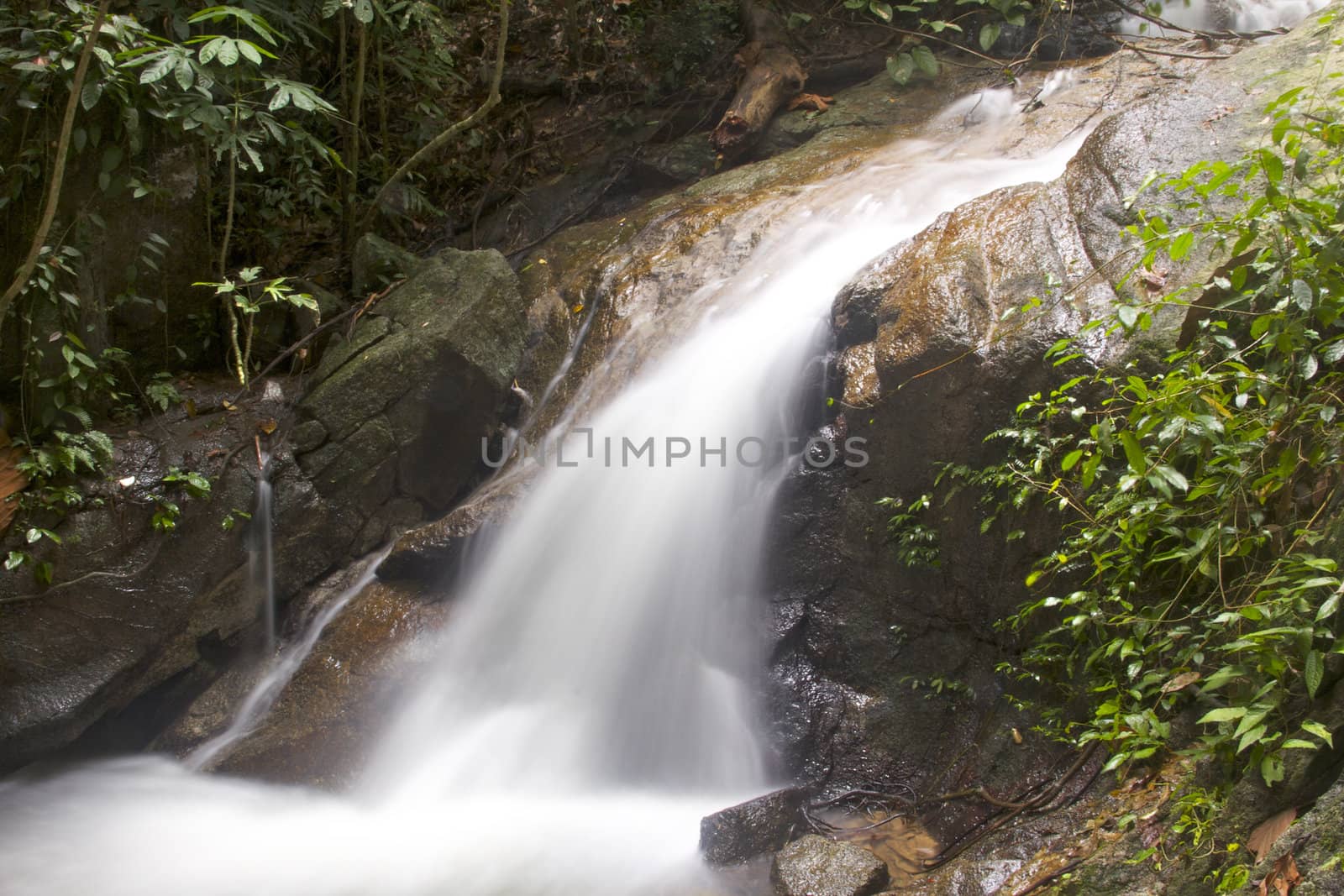 Waterfall in jungle with lush green trees around