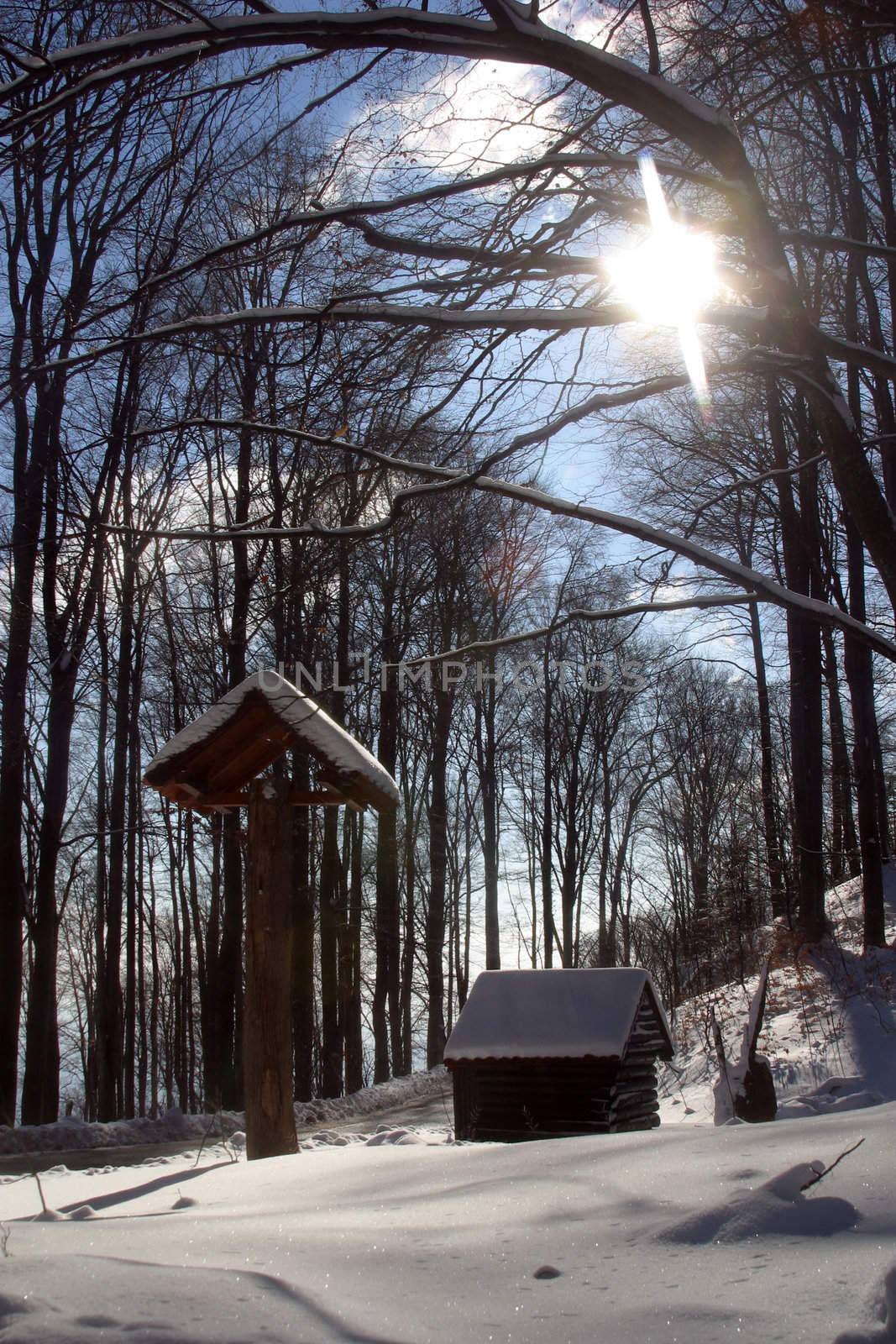 Snow covered forest, Sljeme, Zagreb, Croatia