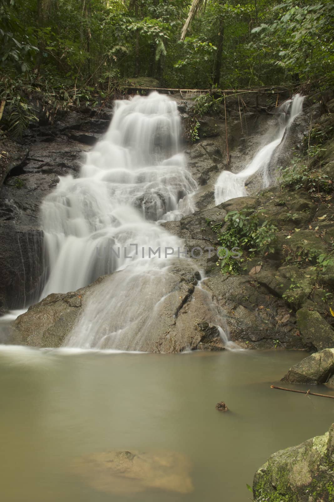 Waterfall in jungle with lush green trees around