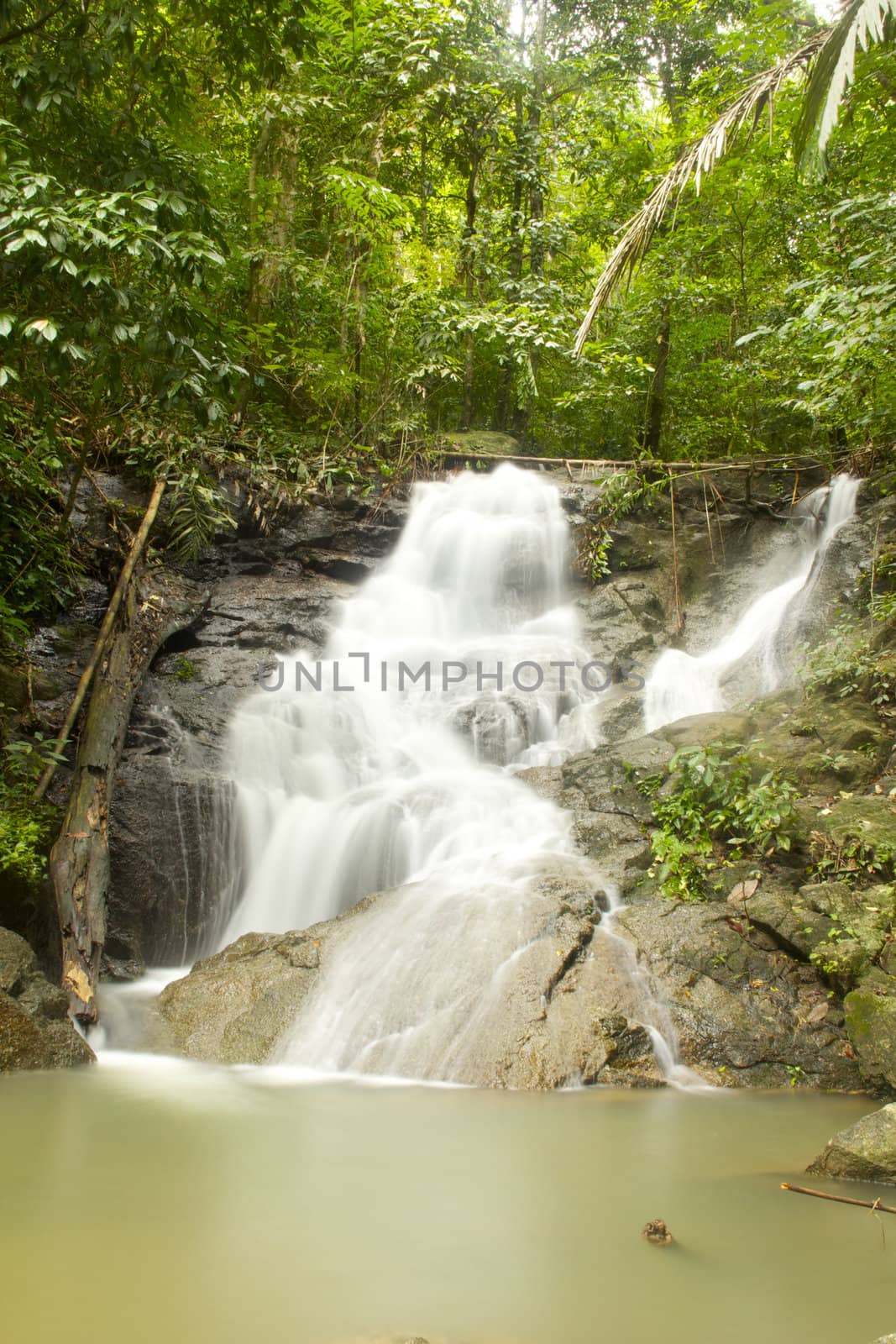 Waterfall in jungle with lush green trees around