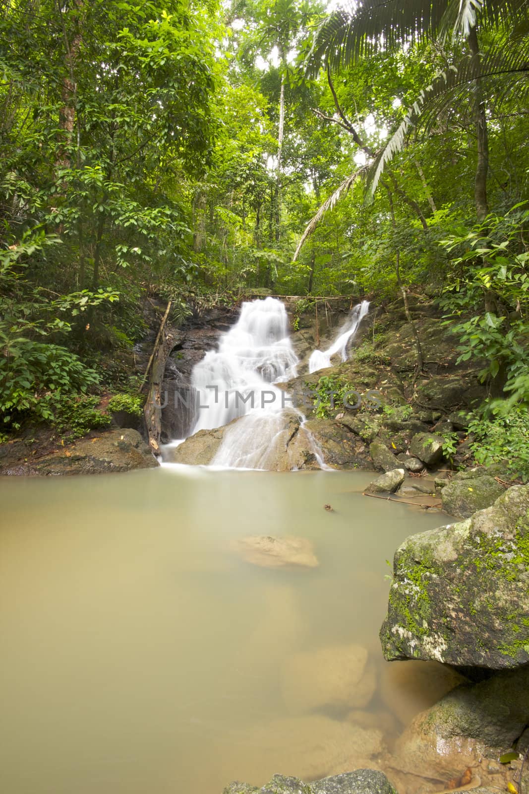 Waterfall in jungle with lush green trees around