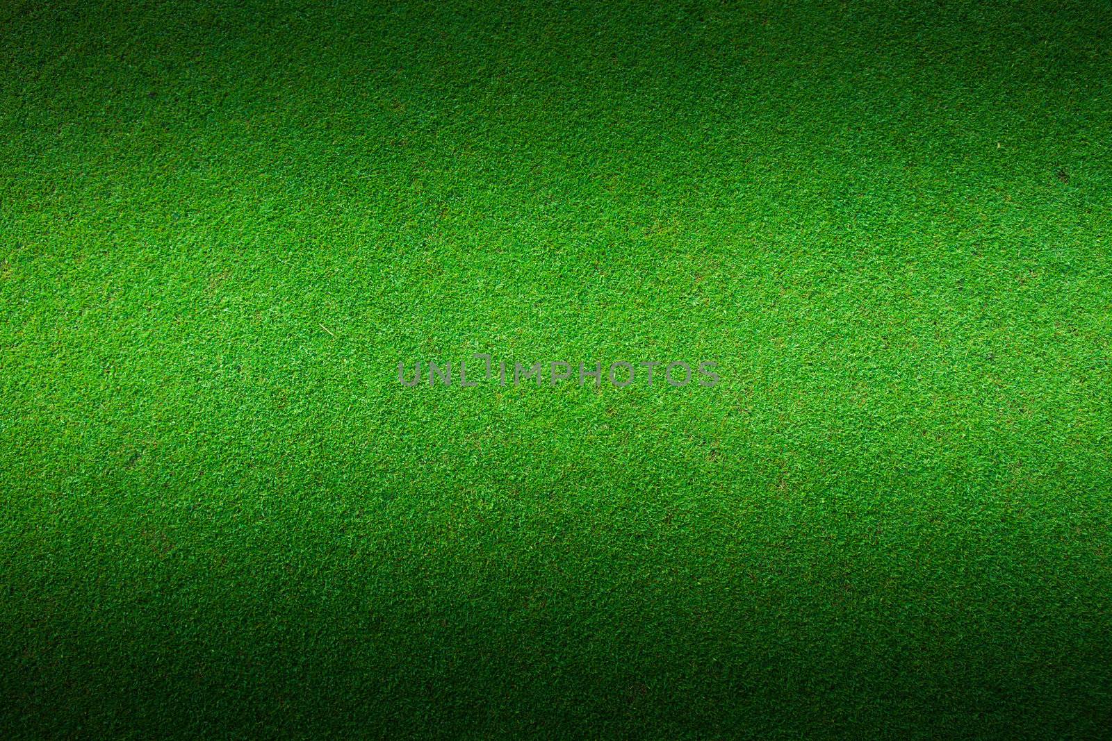 Real green grass background