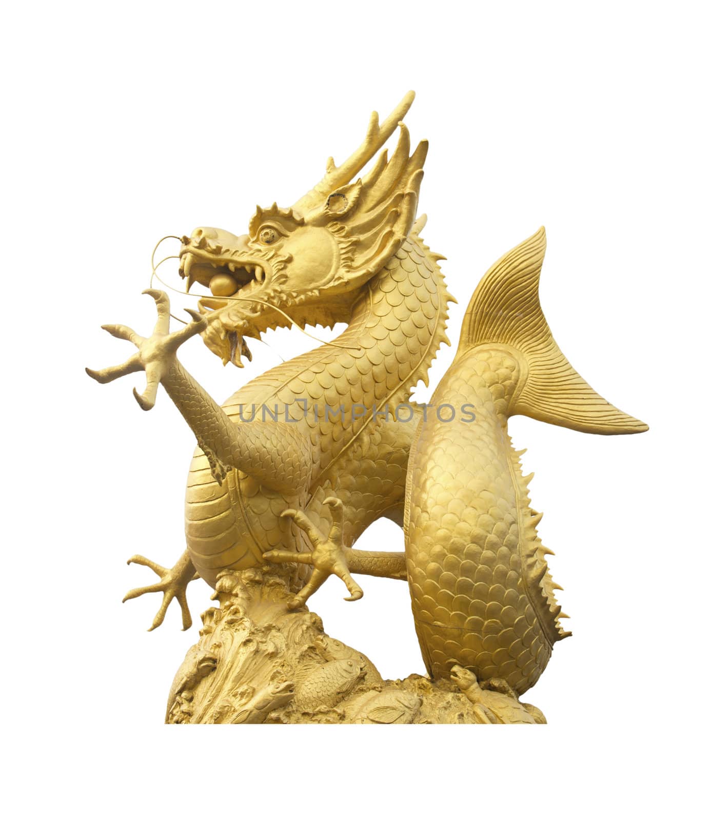 Golden dragon statue in white background