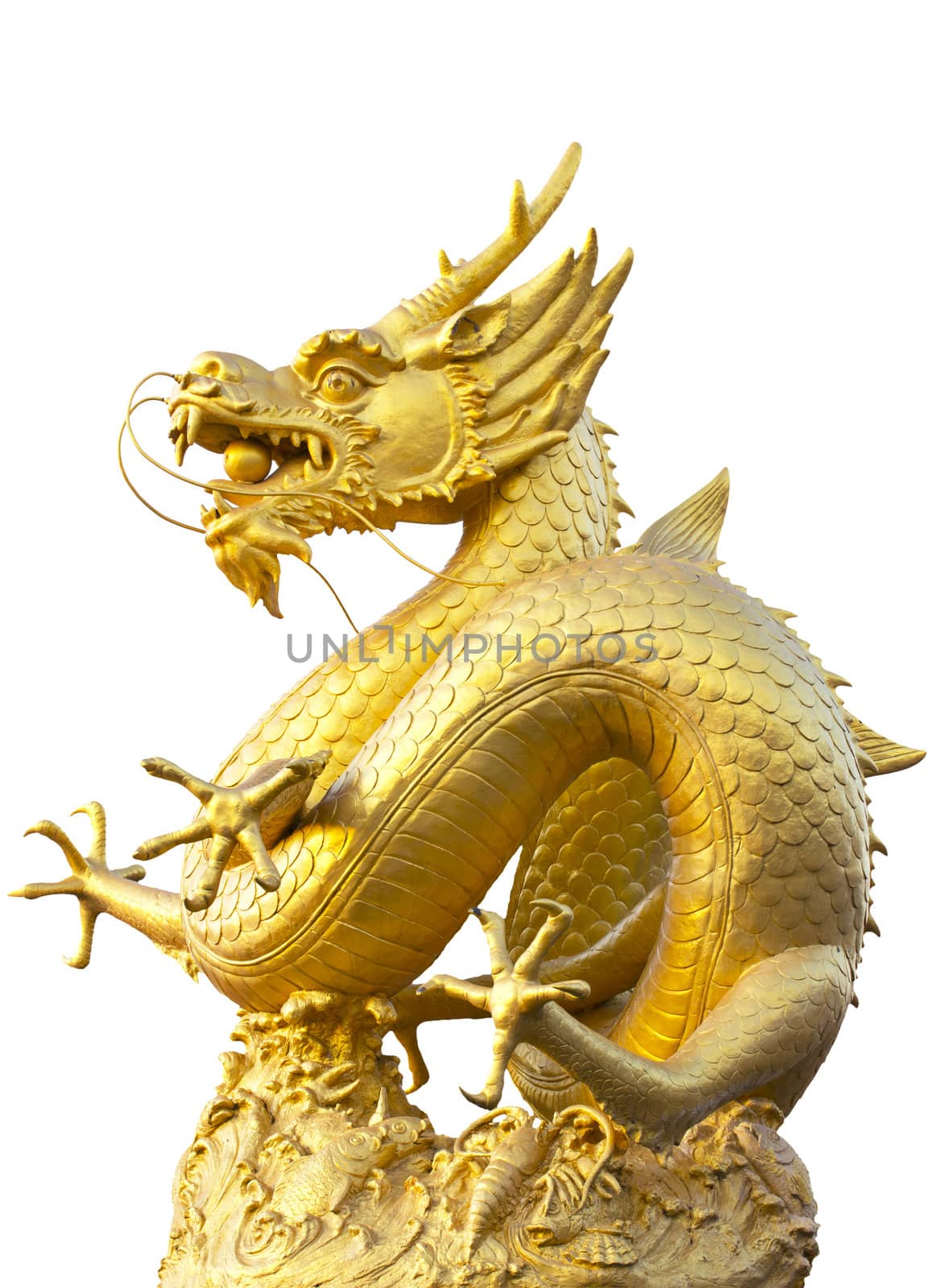 Golden dragon statue in white background