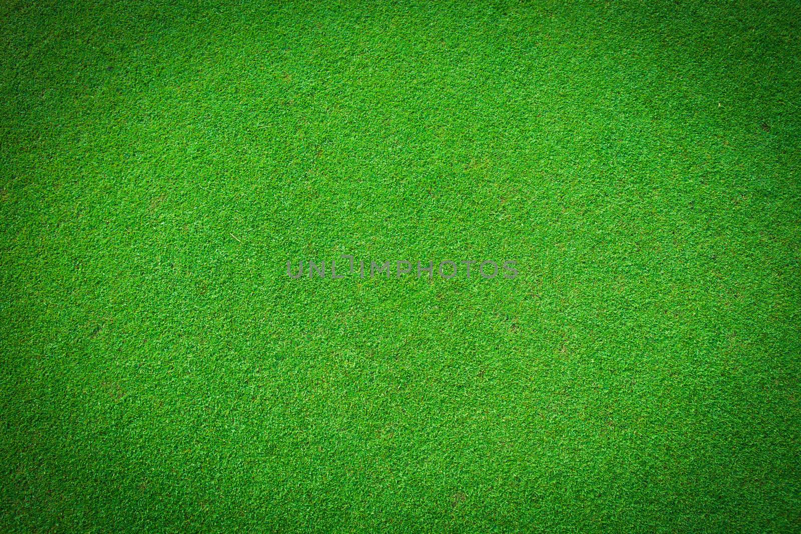 Real green grass background