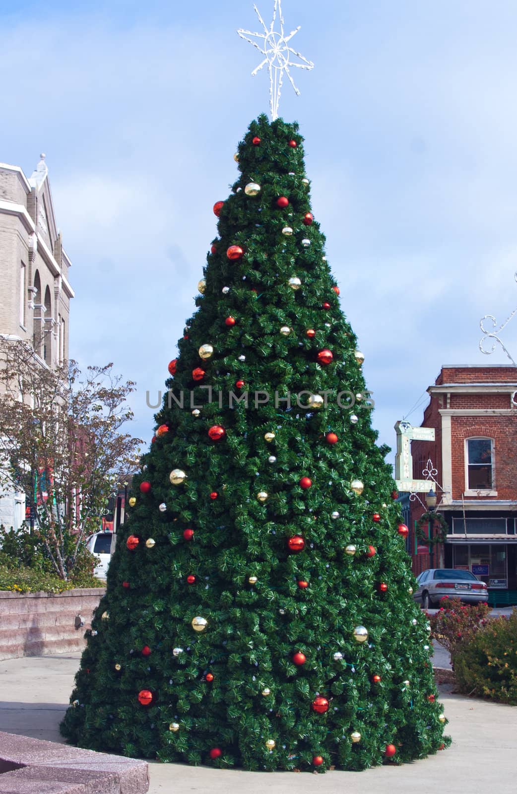 Christmas Tree in the downtown of historic Chester South Carolina