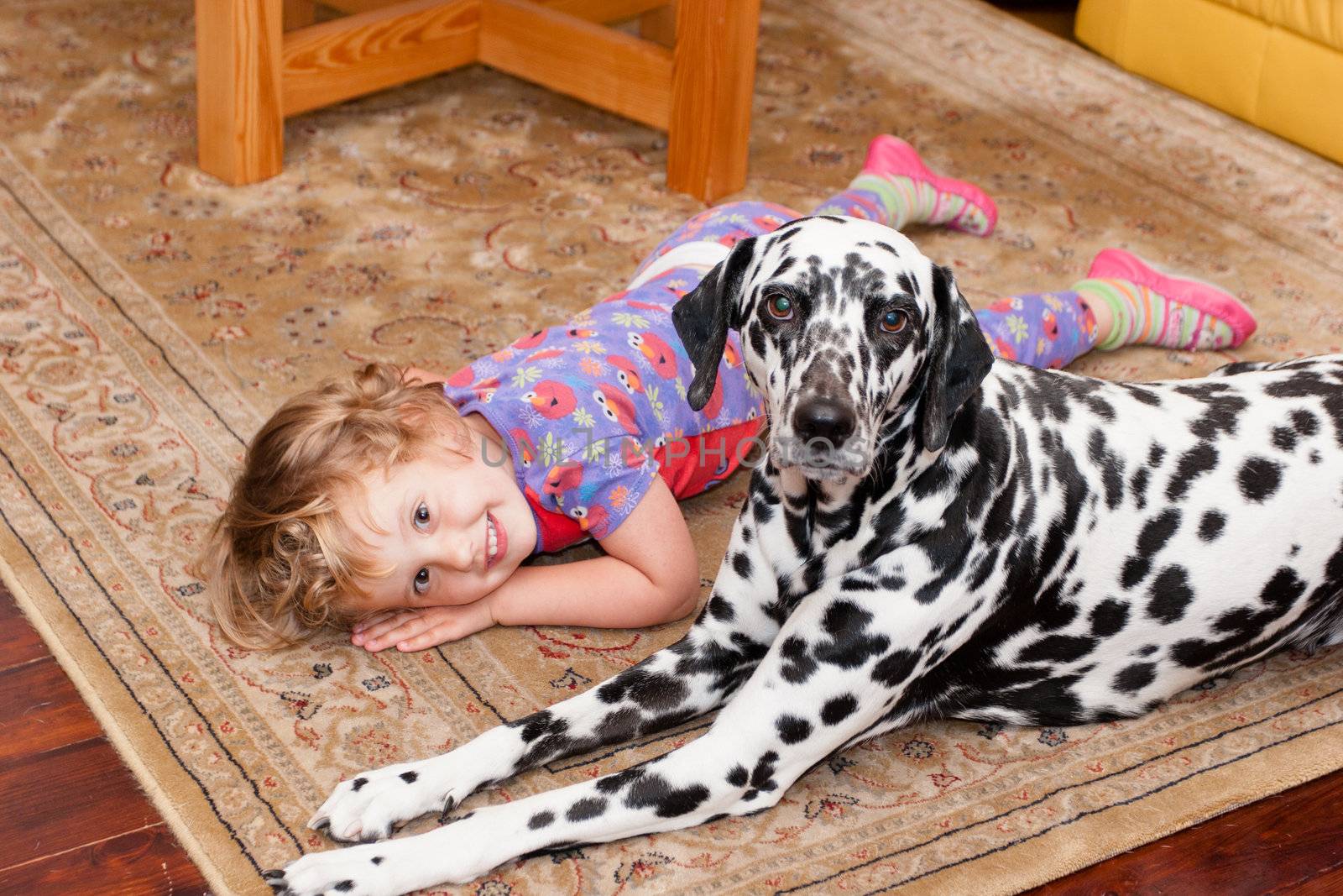 Two pals playing on the carpet together.