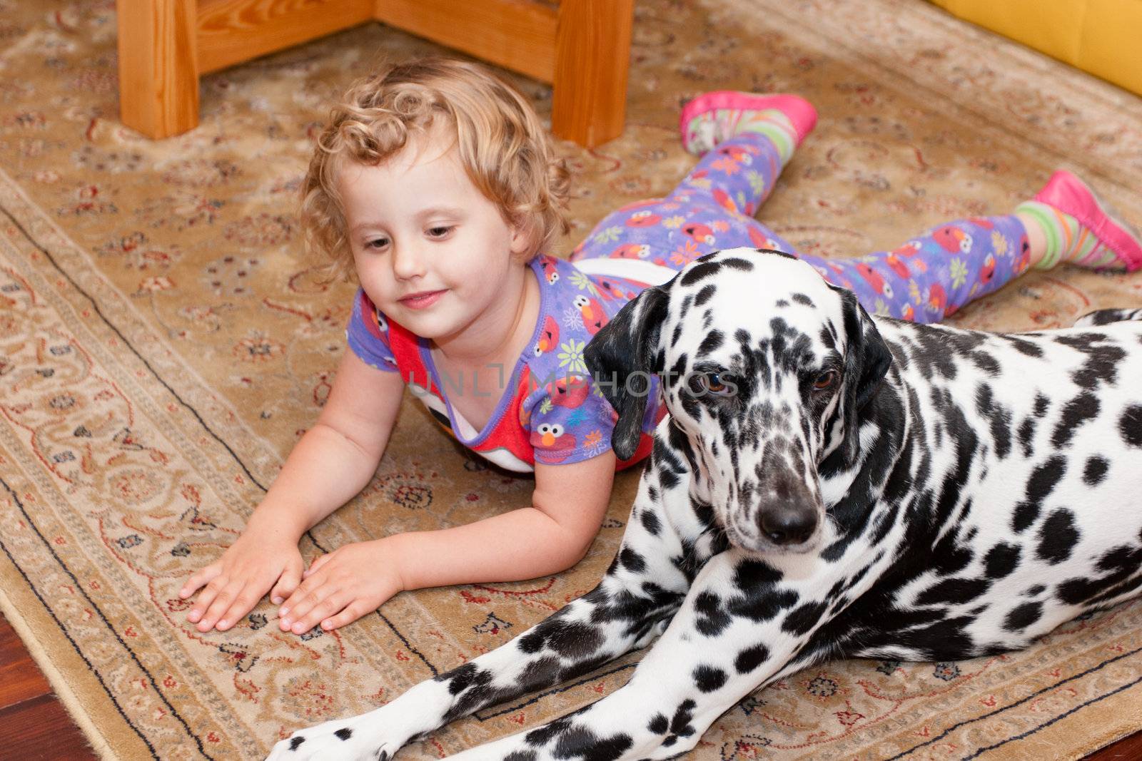 Two pals playing on the carpet together.