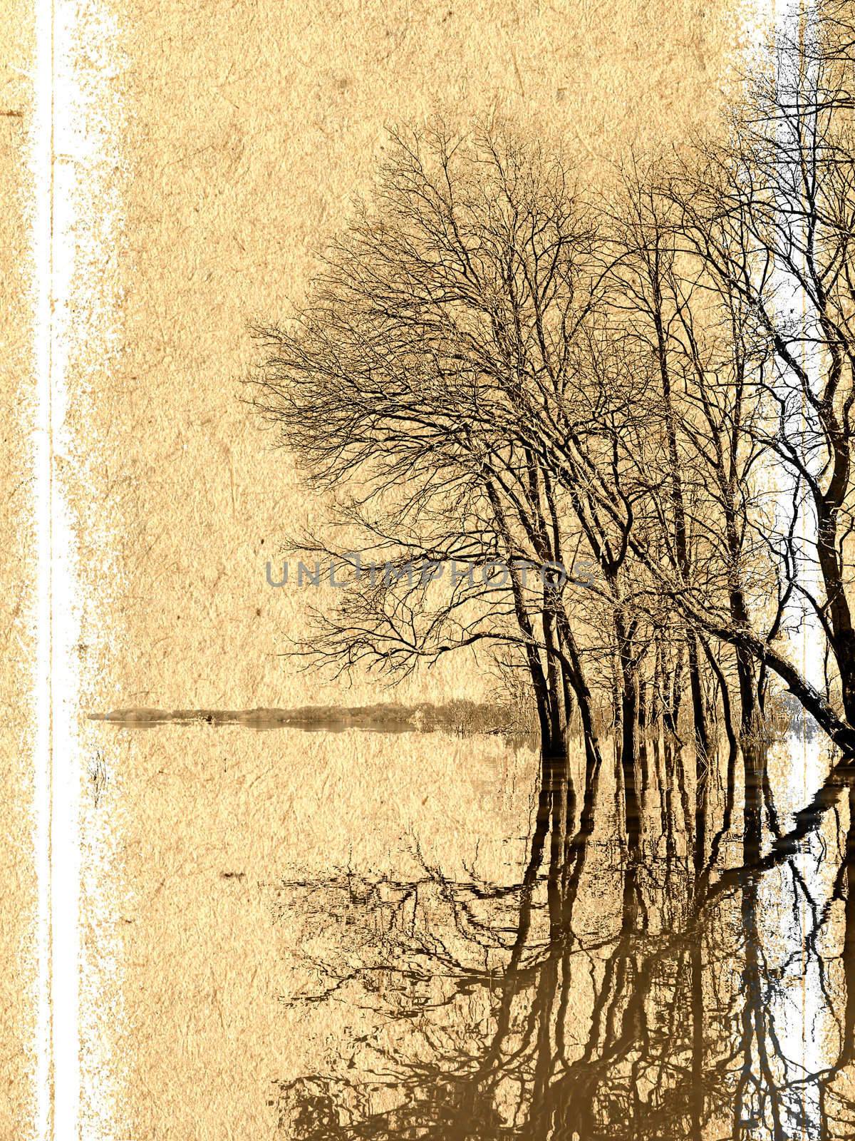 grunge background