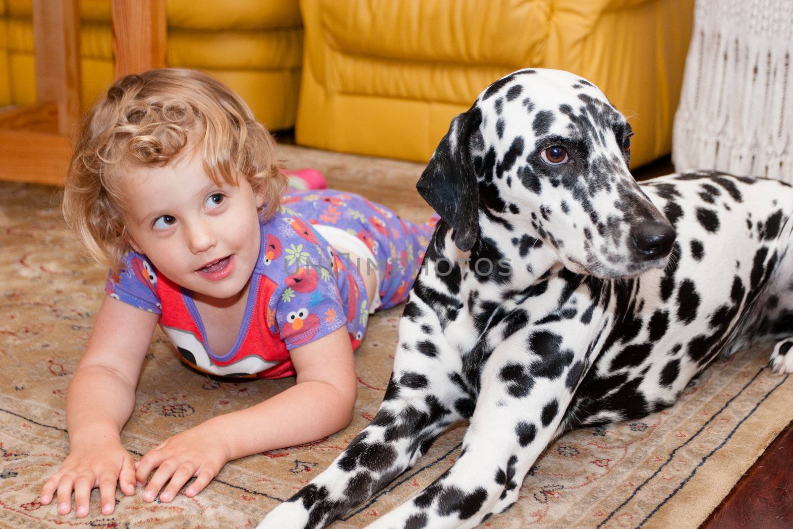 Two pals playing on the carpet together.