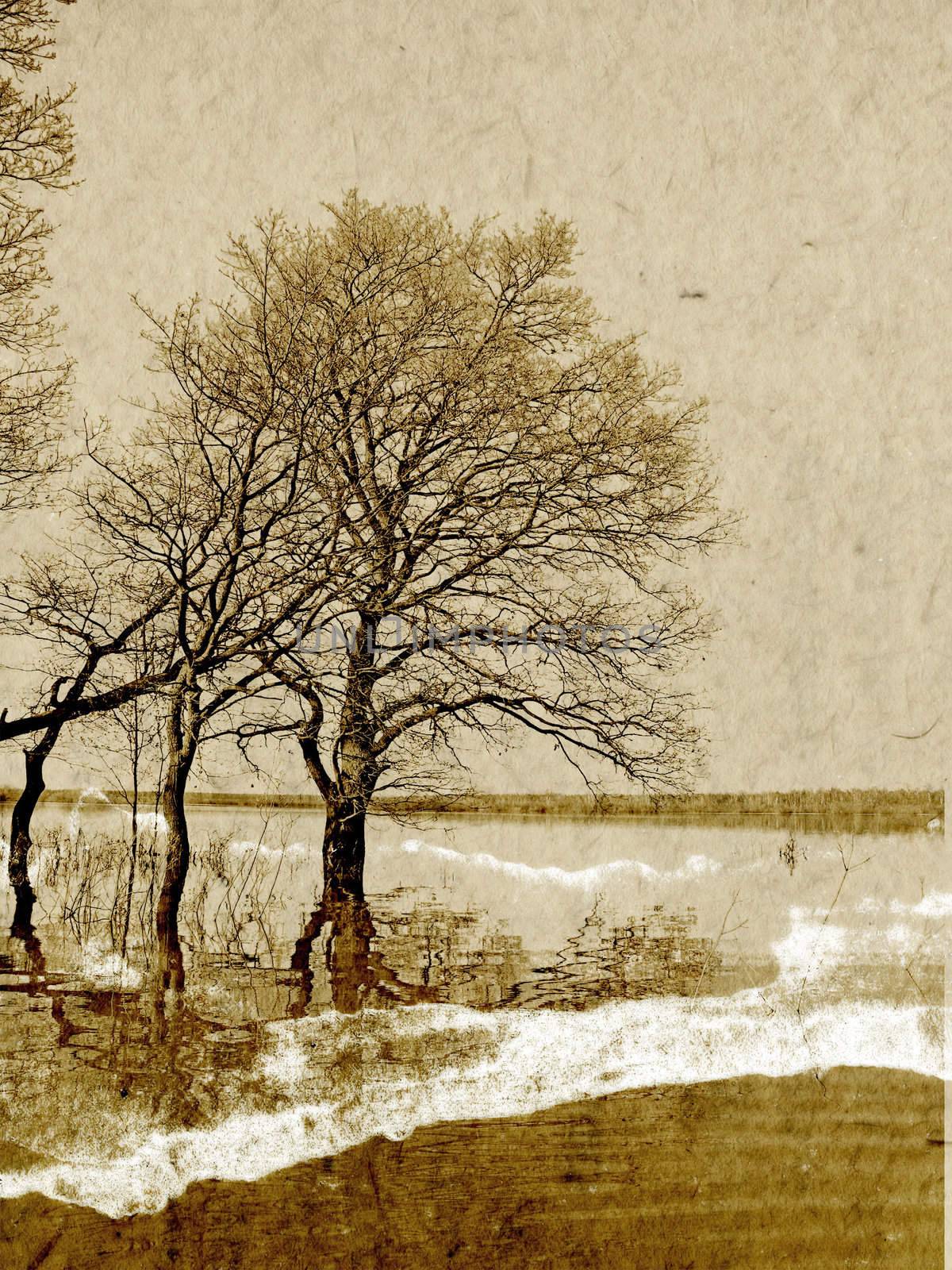 grunge background