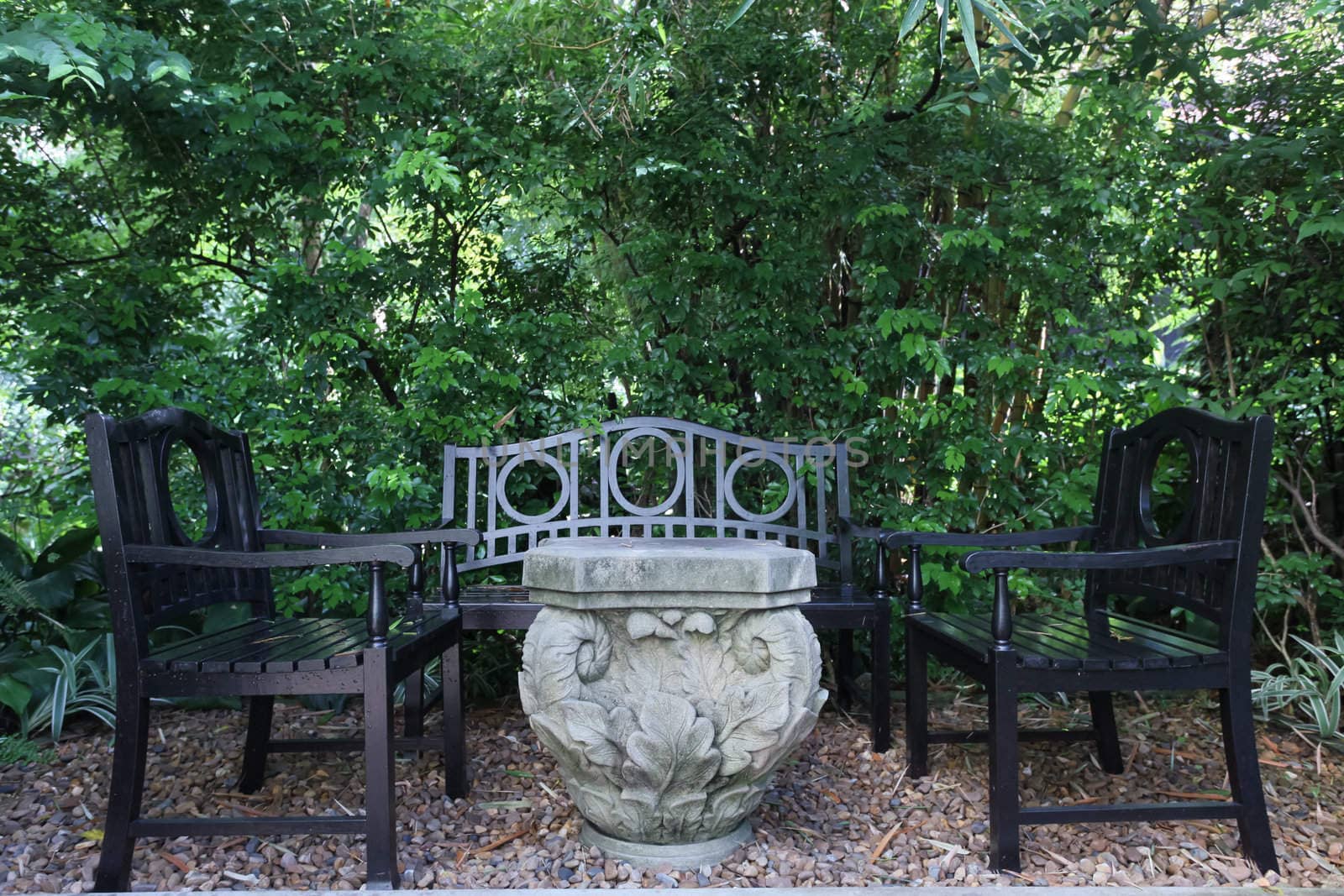 chairs on backyard tropical garden