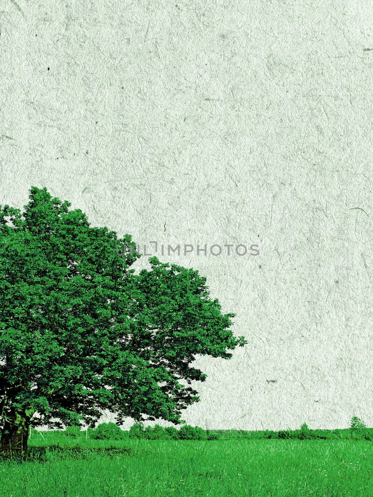 grunge background