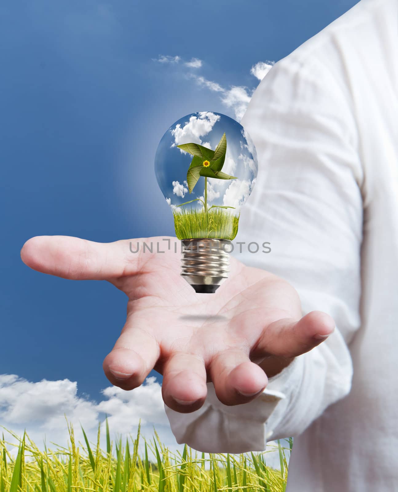 paddle , windmill and blue sky in light bulb on hand