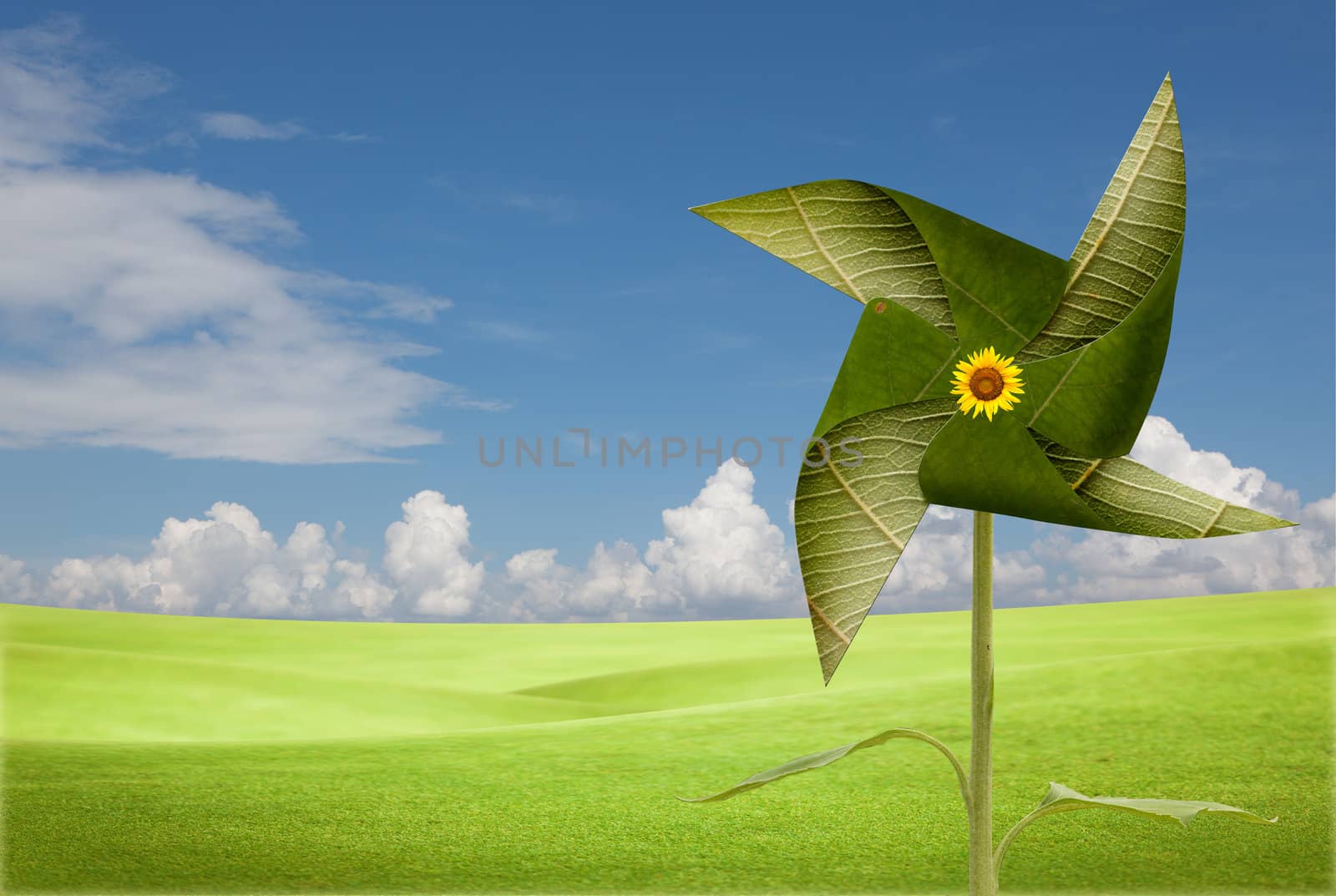 leave windmill on meadow by Suriyaphoto