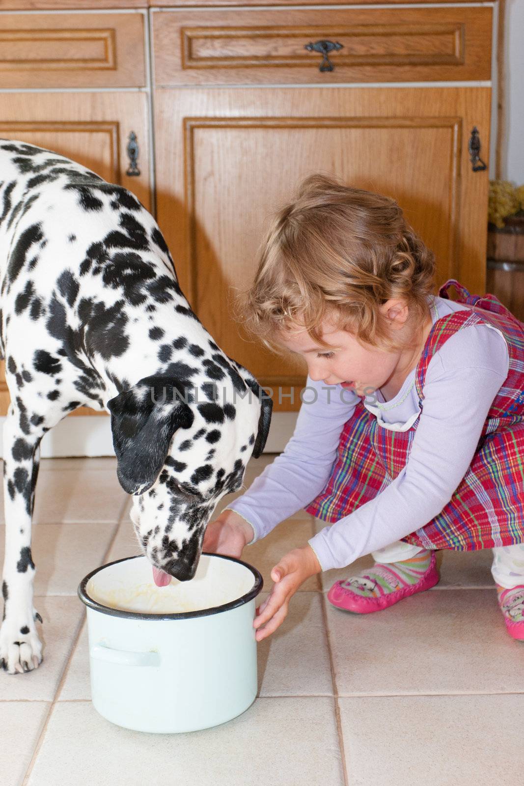 Two pals playing on the floor together.