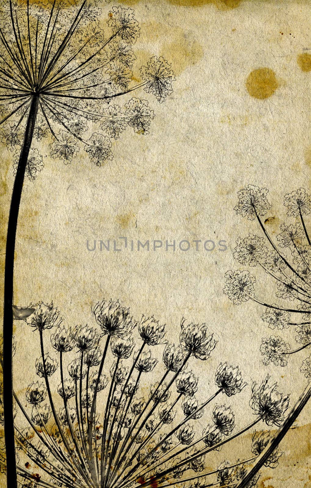 grunge background