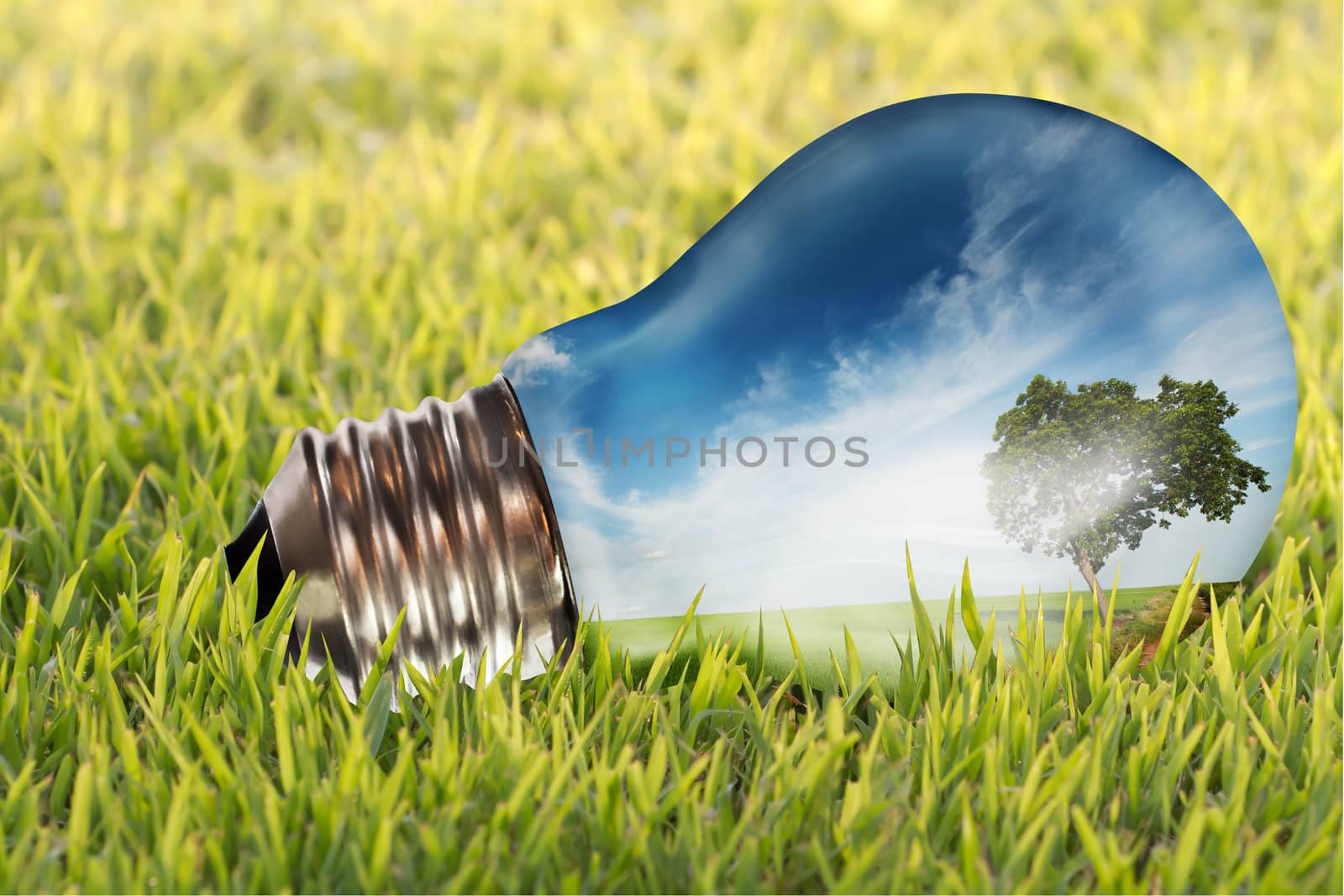 Meadow in light bulb  by Suriyaphoto