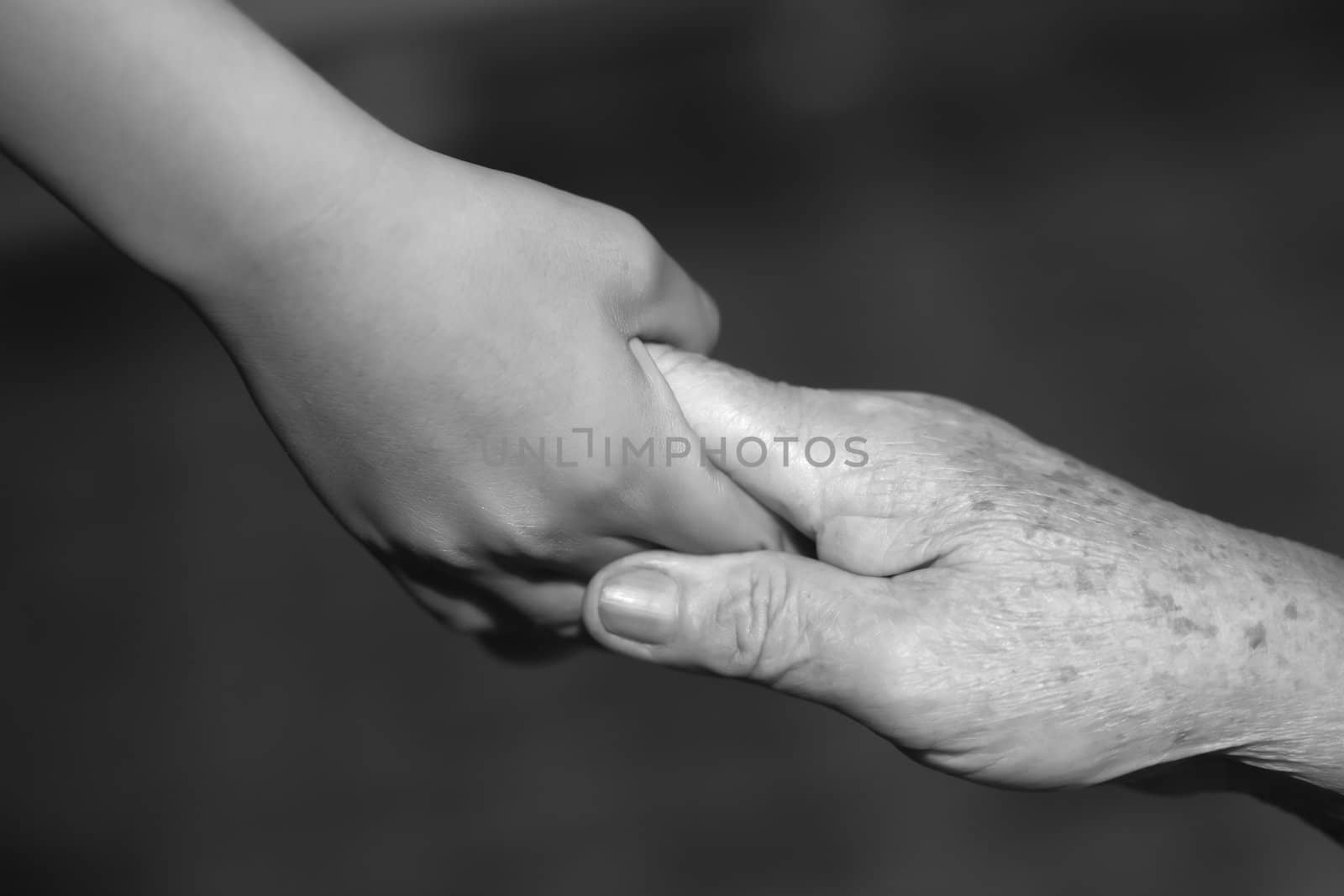 child holding old woman hand by Suriyaphoto