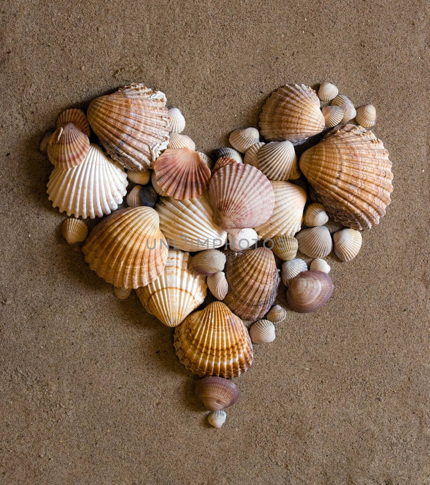 A shell heart on sand - valentine day concept