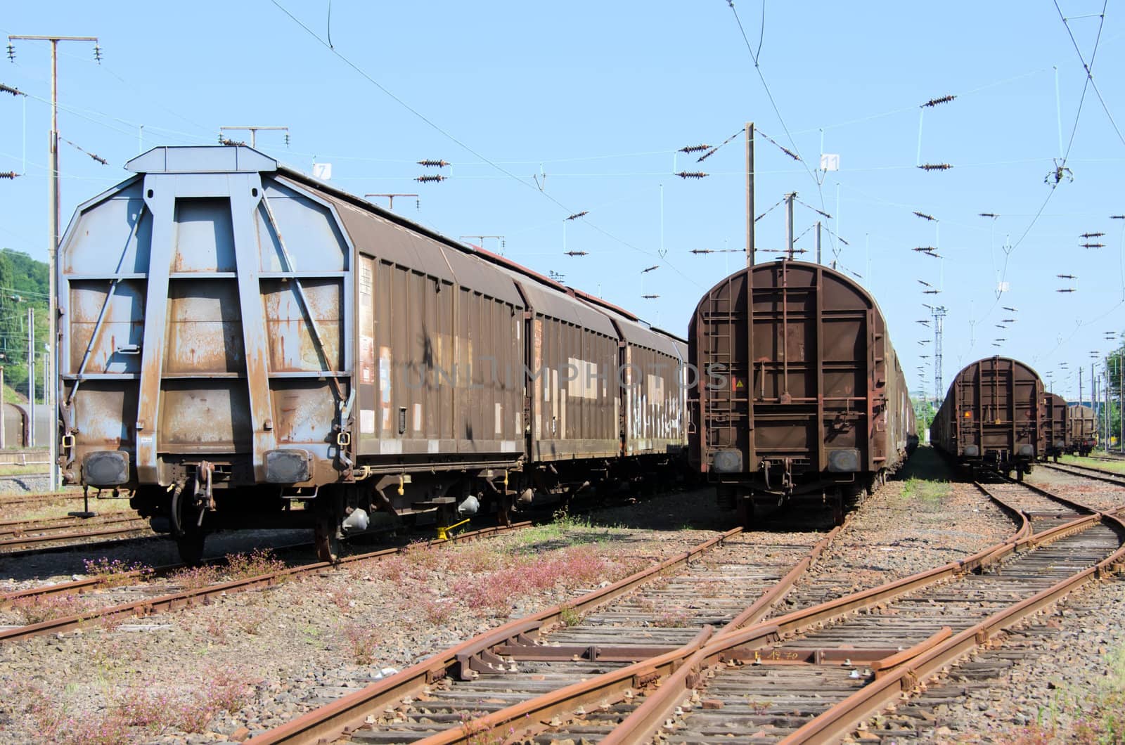 freight wagons